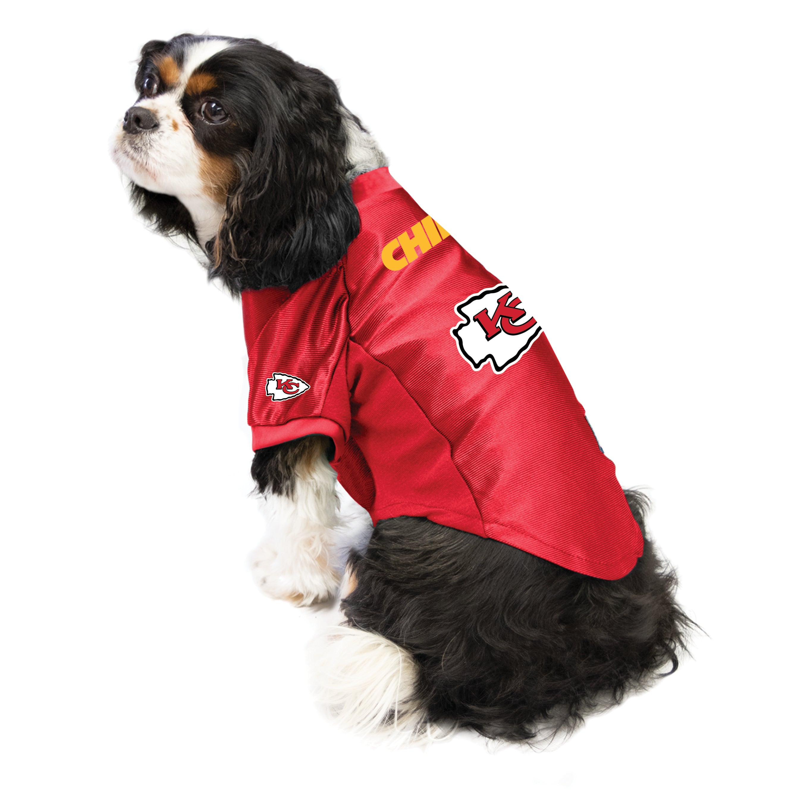 Nhl Jersey Habs Dog Jersey Cat Chiefs Jersey MONTREAL CANADIENS