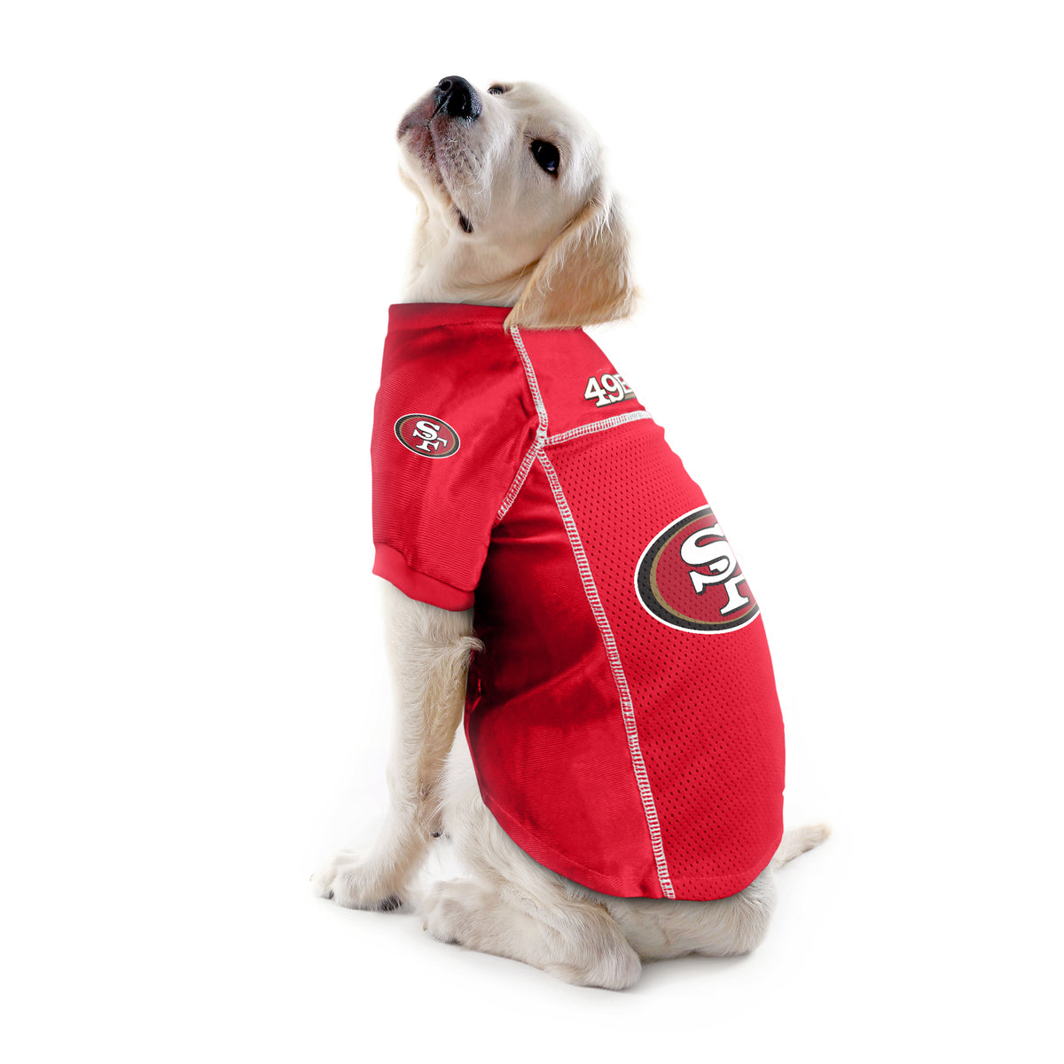 San Francisco 49ers Running Dog Costume