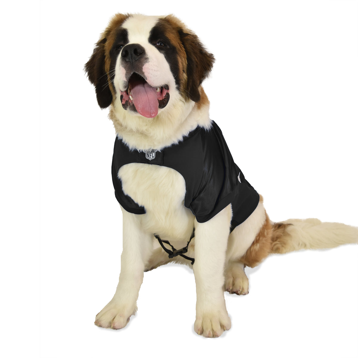 : Littlearth Unisex-Adult NFL Las Vegas Raiders Premium Pet  Jersey, Team Color, Small : Sports & Outdoors