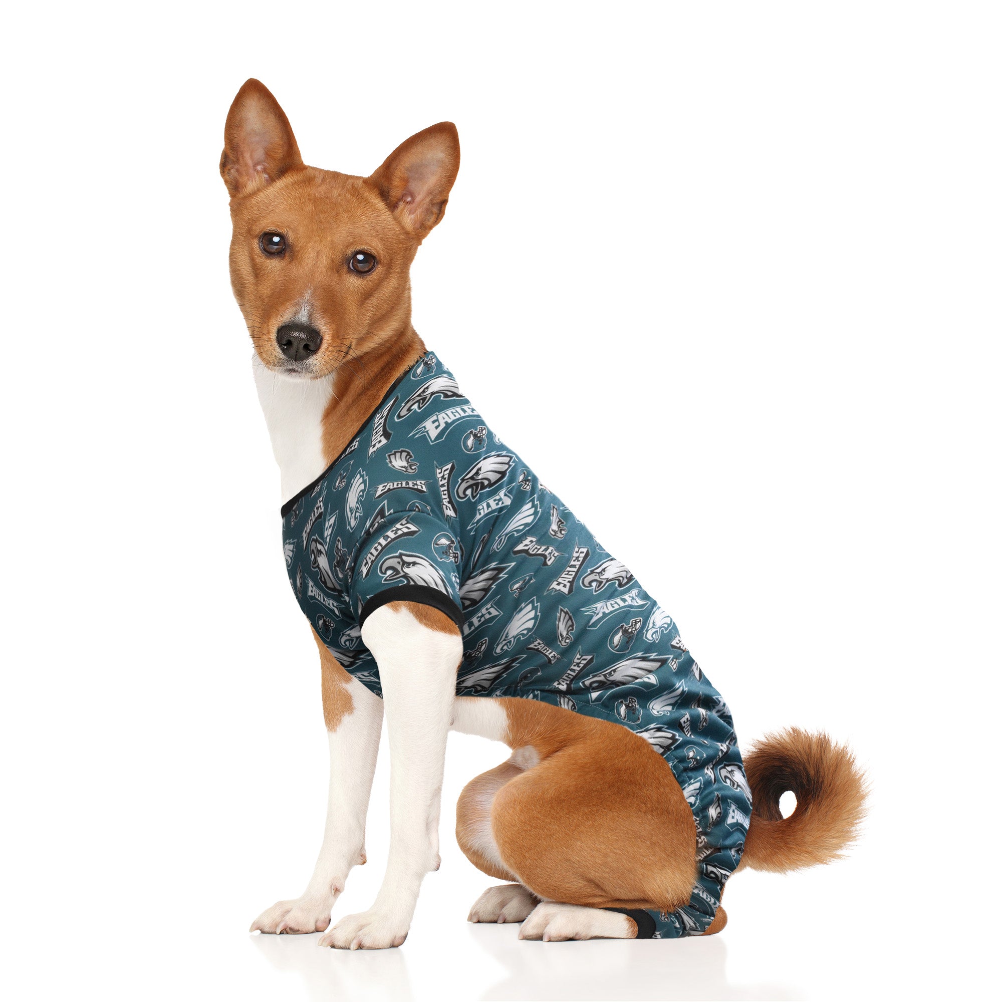 eagles gear for dogs