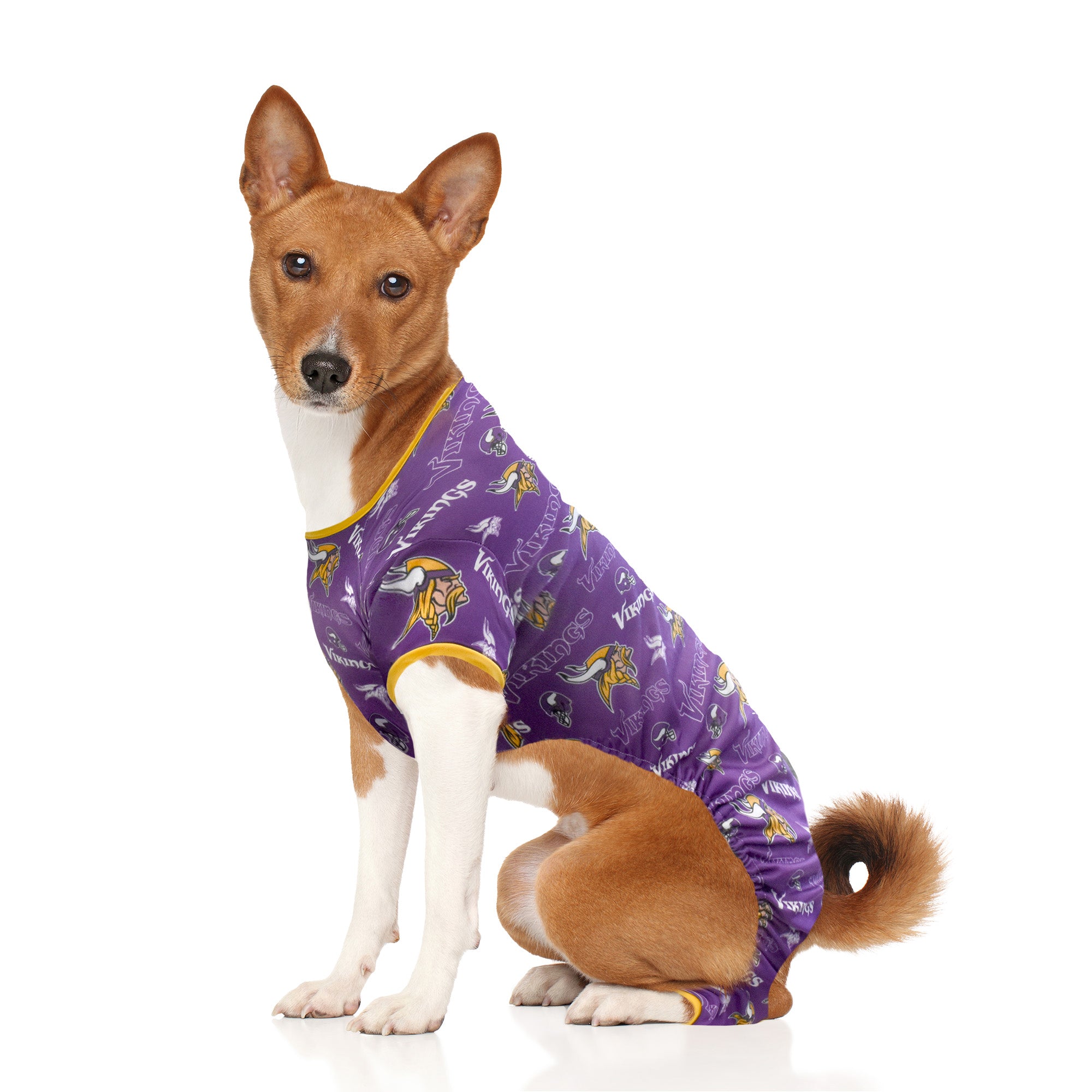 minnesota vikings dog costume