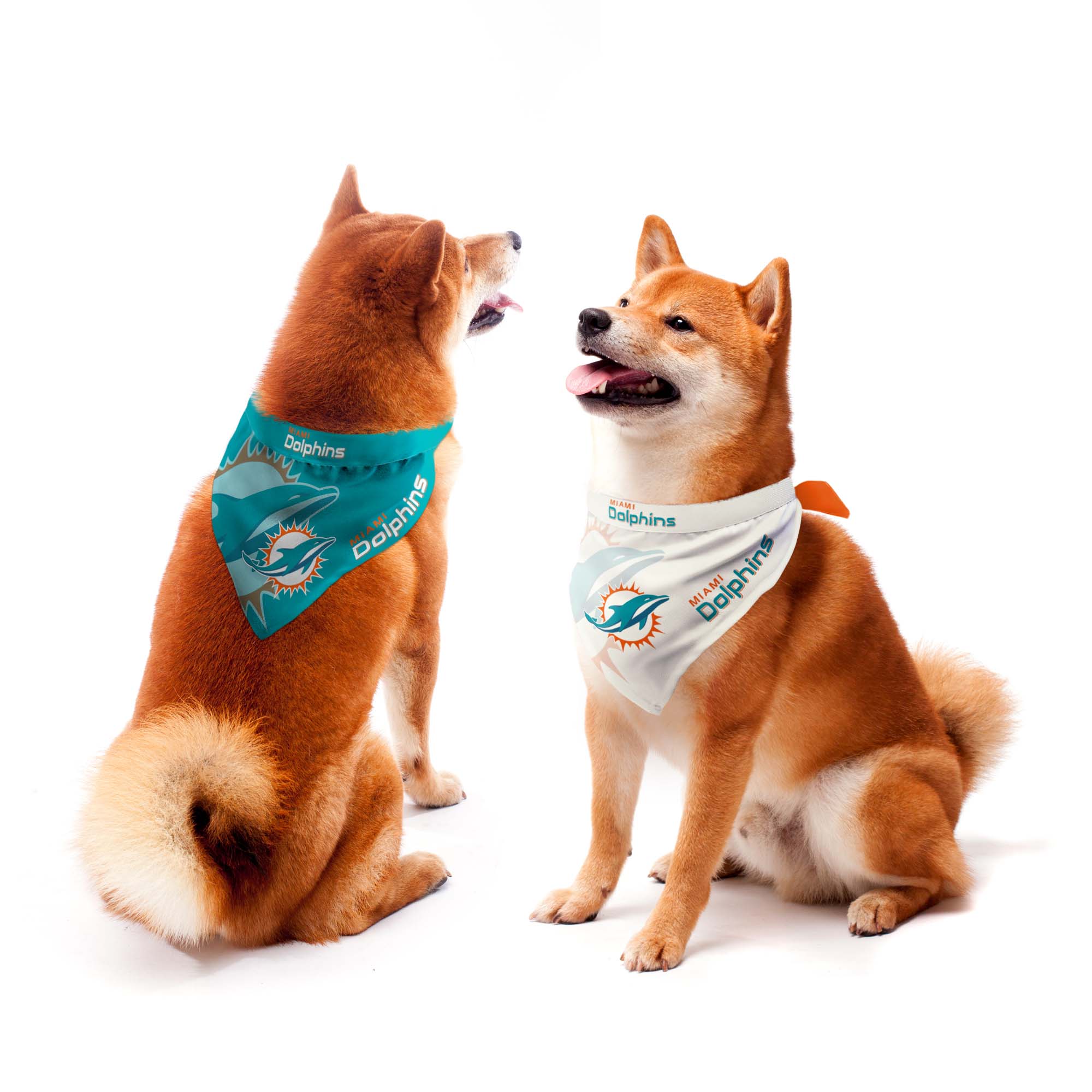 Littlearth Unisex-Adult NFL Miami Dolphins Home and Away Pet Bandana Set,  Team Color, Large