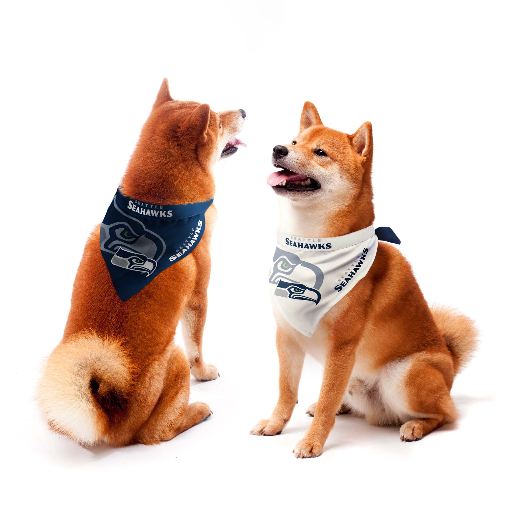 Seattle Seahawks Home and Away Pet Bandana Set – Little Earth Productions