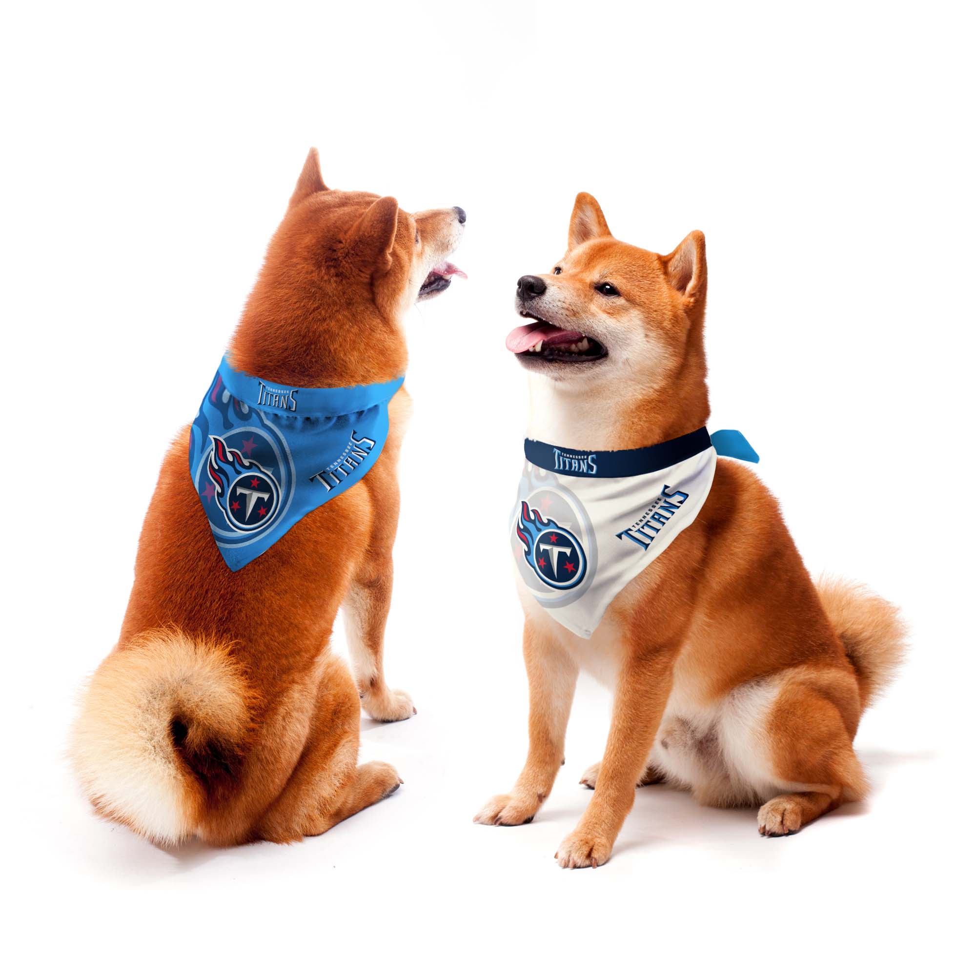 Tennessee Titans Home and Away Pet Bandana Set