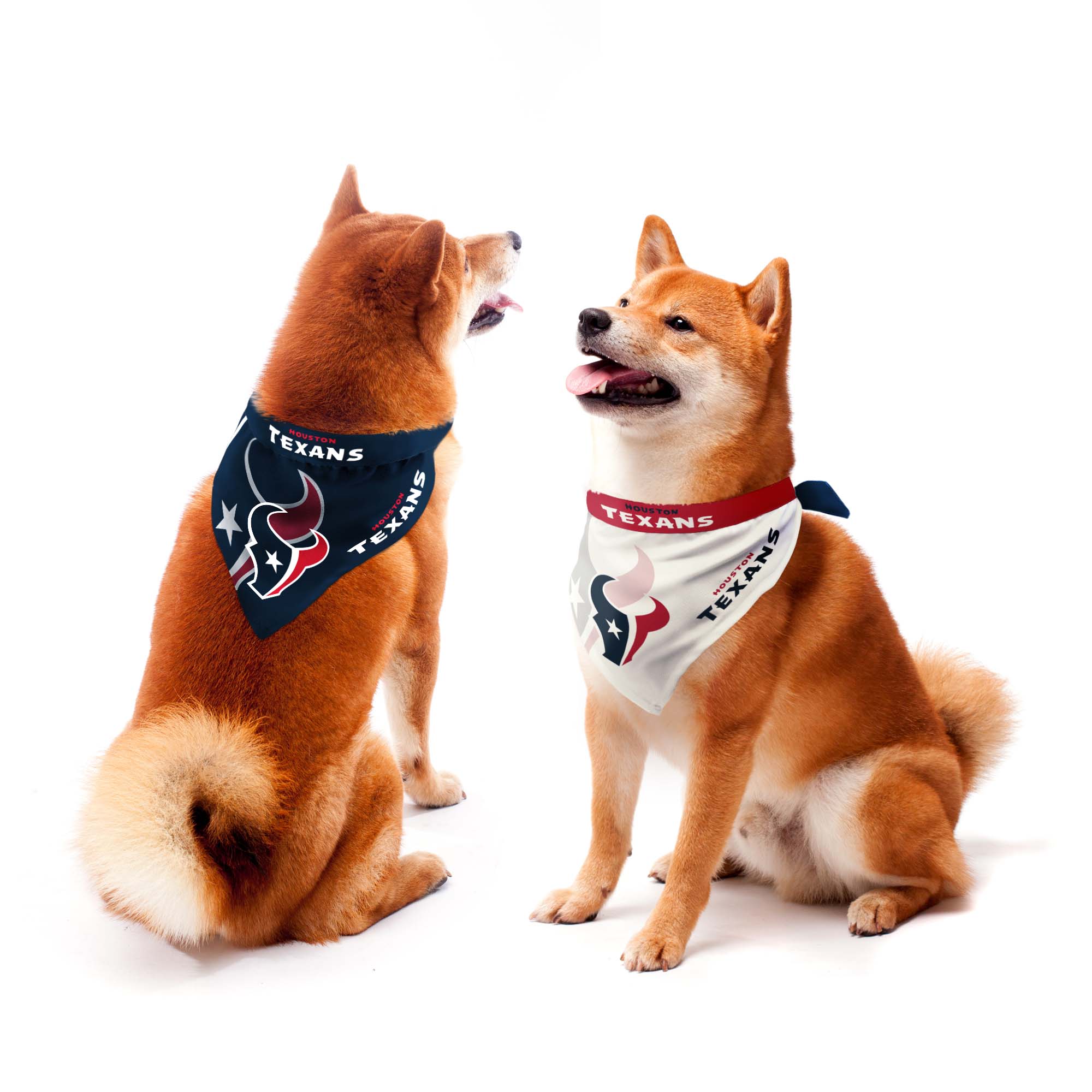 Houston Texans Pet Supplies, Texans Pet Supplies