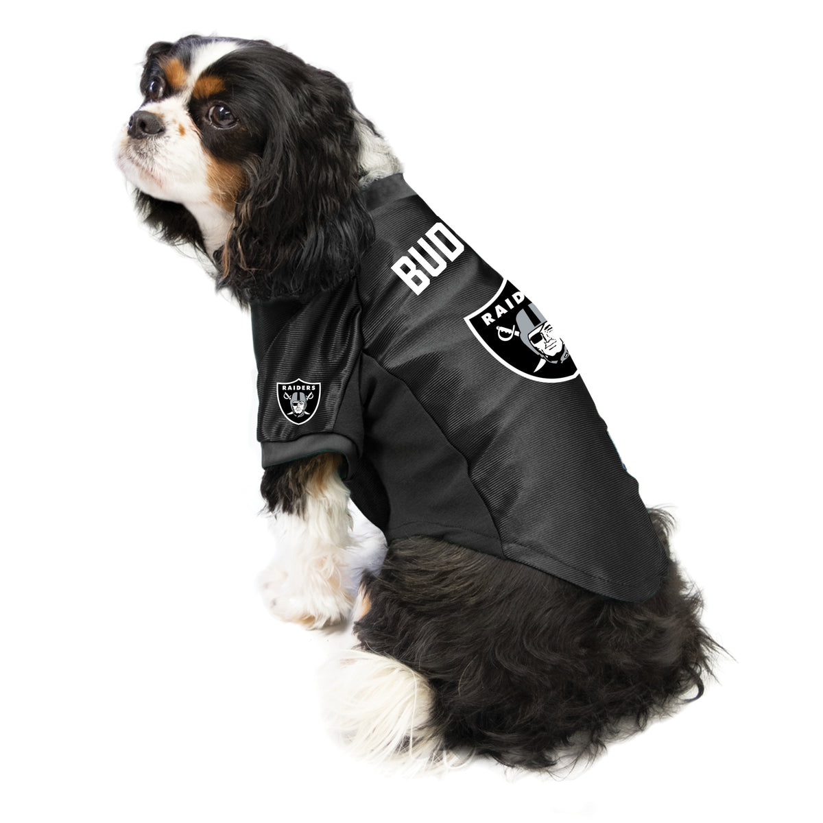 Pets First NFL Las Vegas Raiders Dog T-Shirt, Football Dogs & Cats Shirt - Durable Sports Pet Tee - 3 Sizes, NFL Pet Outfit, Reflective Tee Shirt in