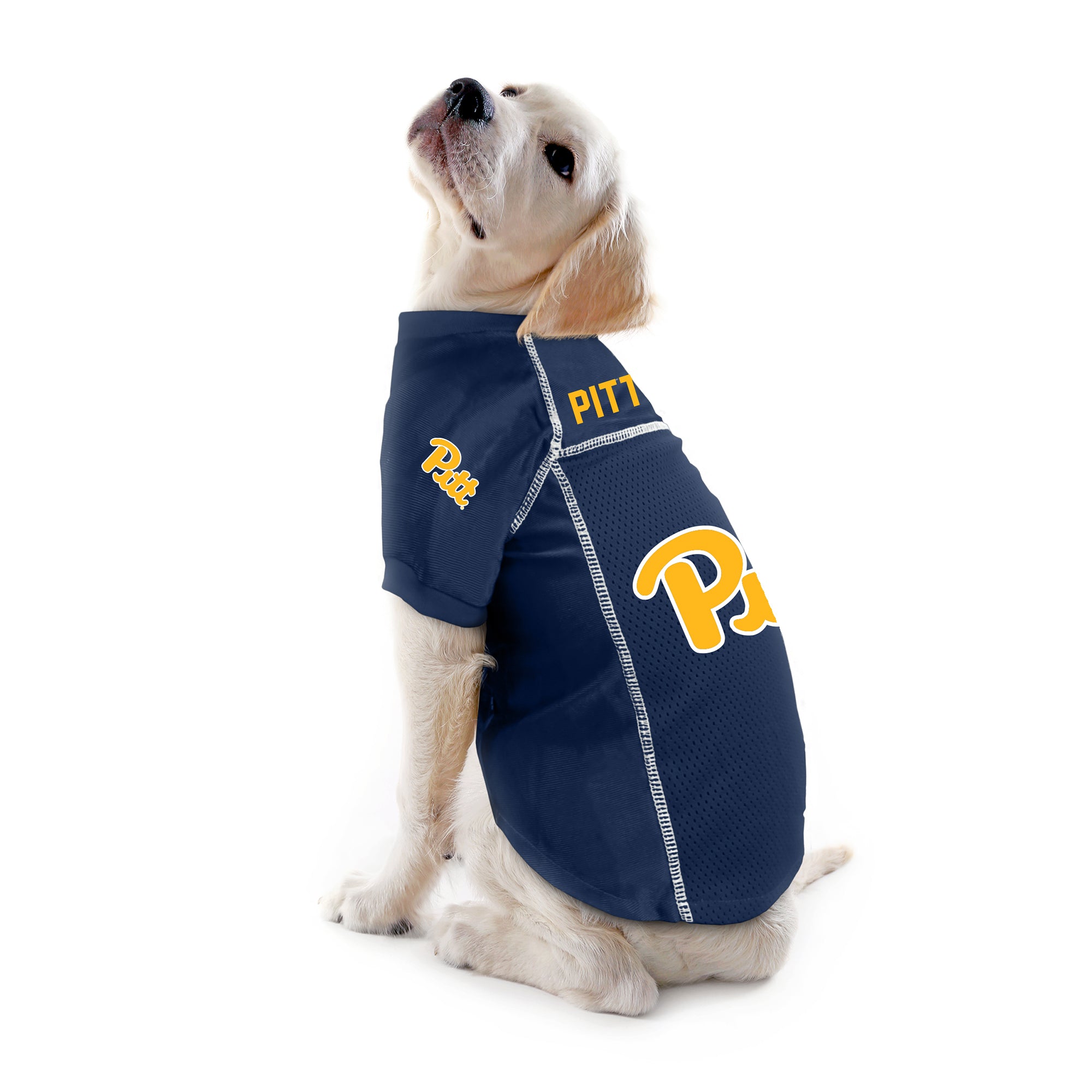 pittsburgh pirates dog shirt