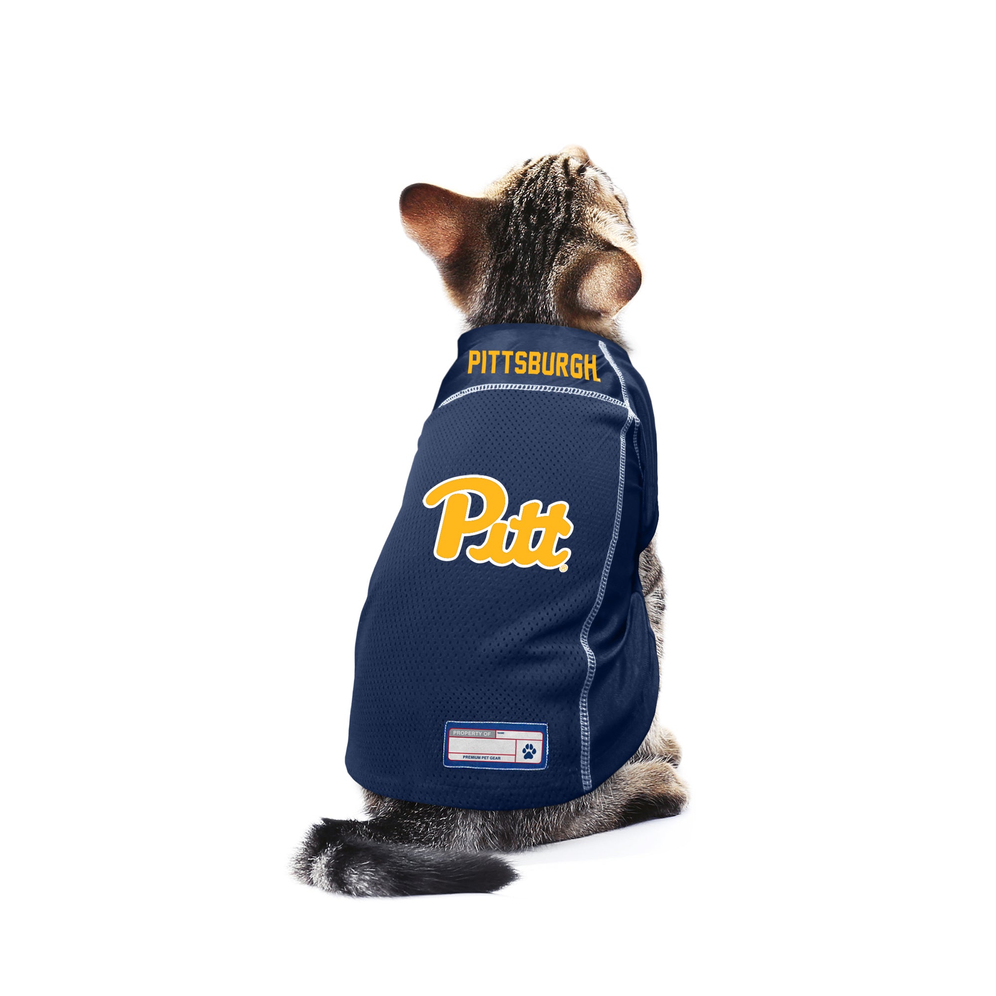 University of Pittsburgh Pet Jersey – Little Earth Productions