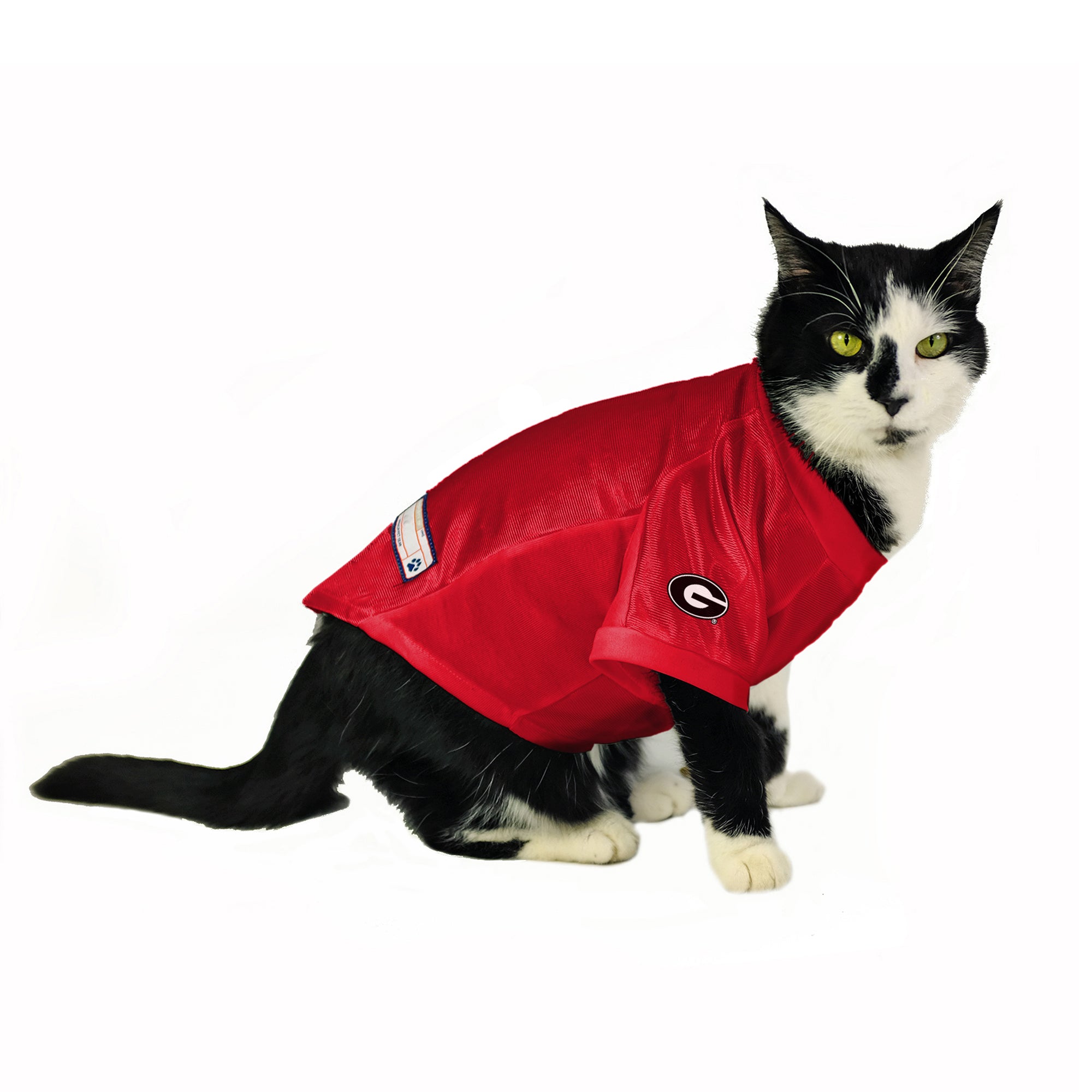 Georgia Bulldogs Pet Stretch Jersey