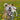 University of Tennessee Team Sock Monkey Pet Toy