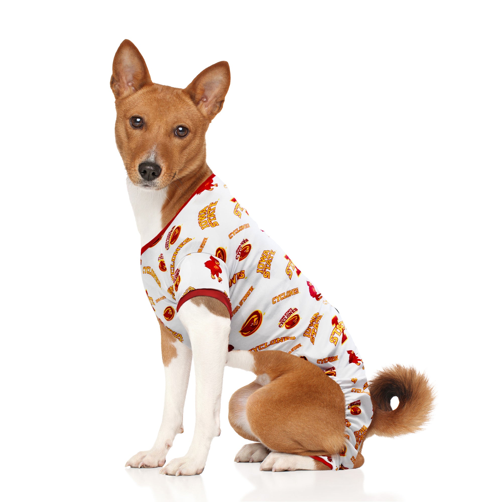 Iowa State Dog Sweater