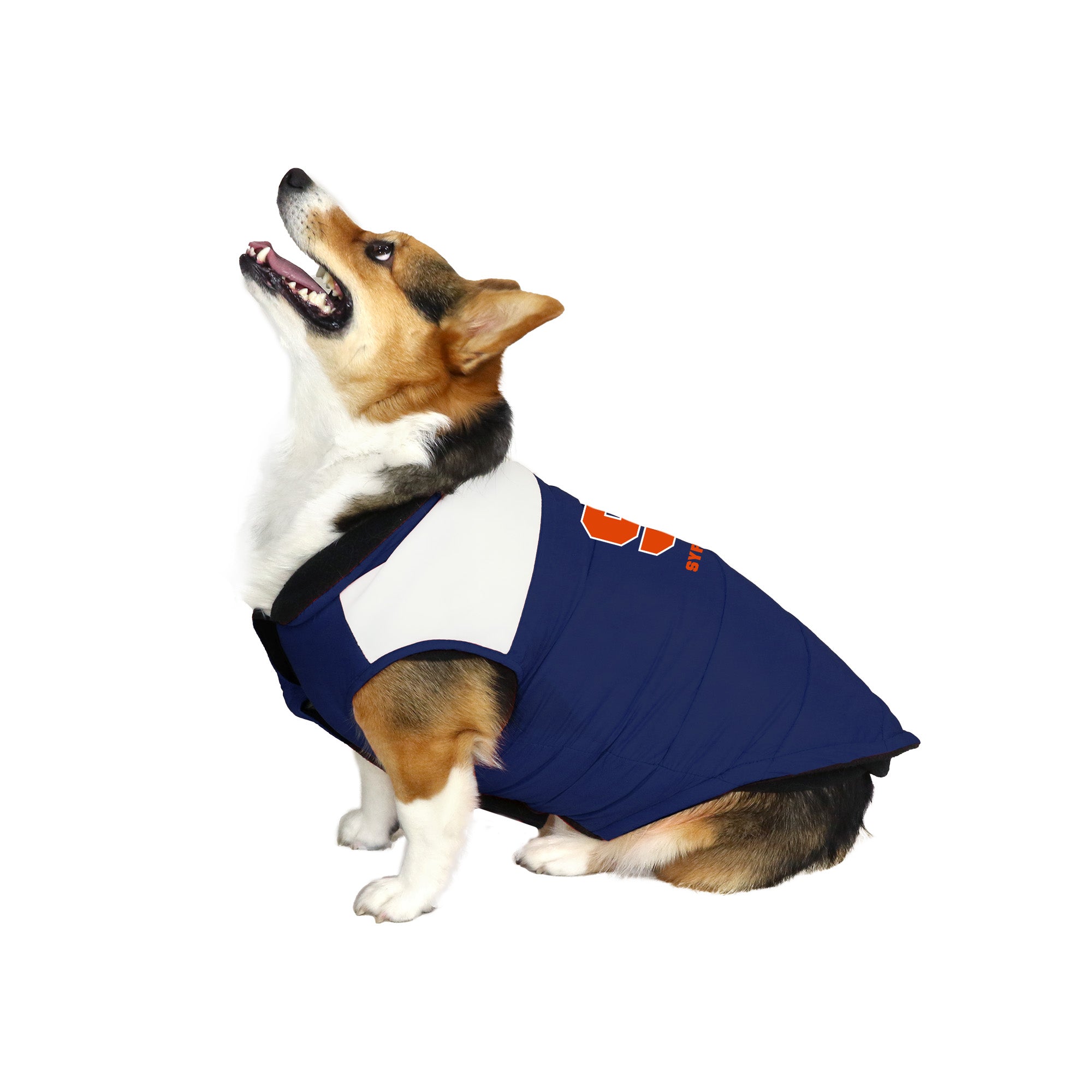 : NFL New York Giants Puffer Vest for Dogs & Cats, Size Medium.  Warm, Cozy, and Waterproof Dog Coat, for Small and Large Dogs/Cats. Best  NFL Licensed PET Warming Sports Jacket :