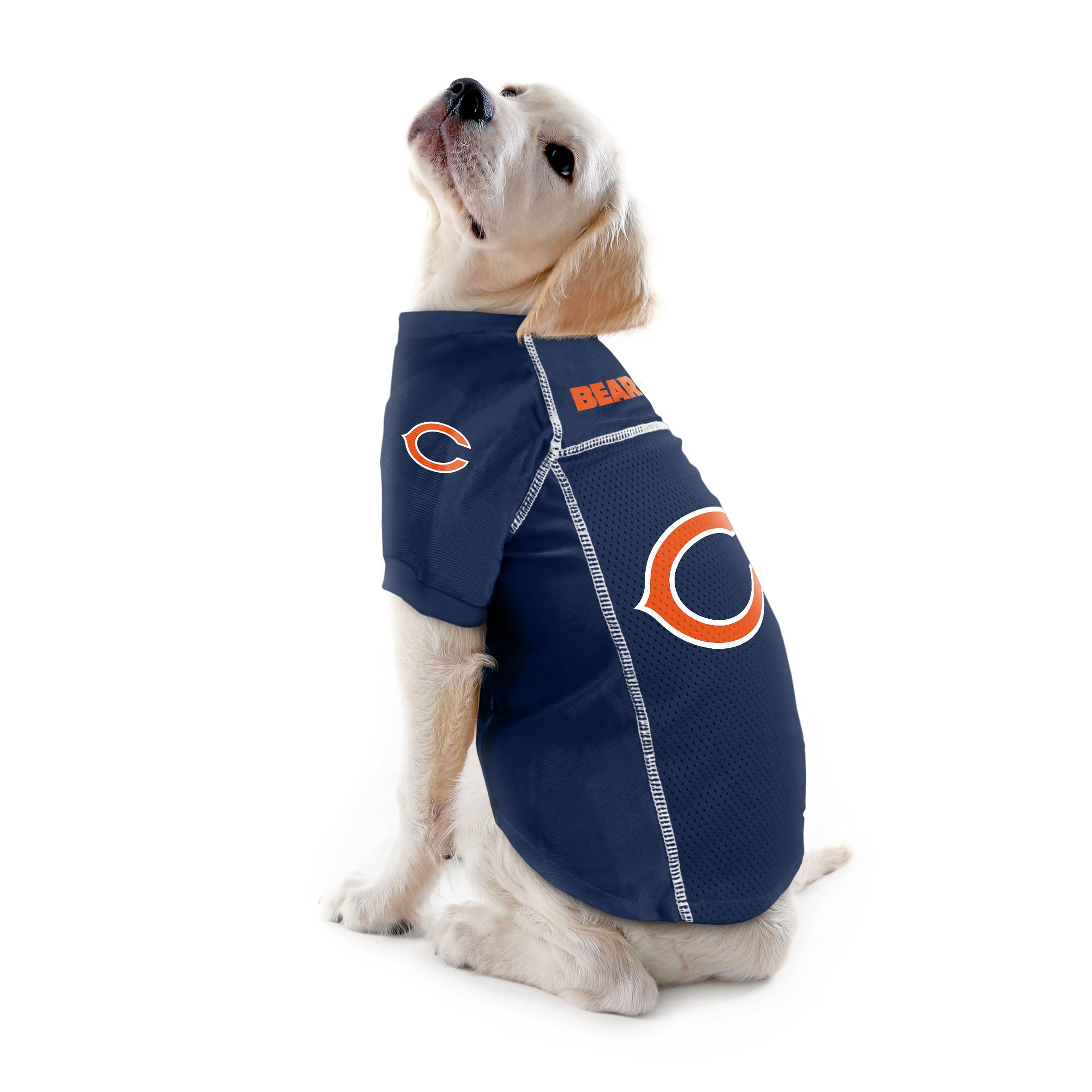 Chicago Bears Custom Pet Stretch Jersey – Little Earth Productions