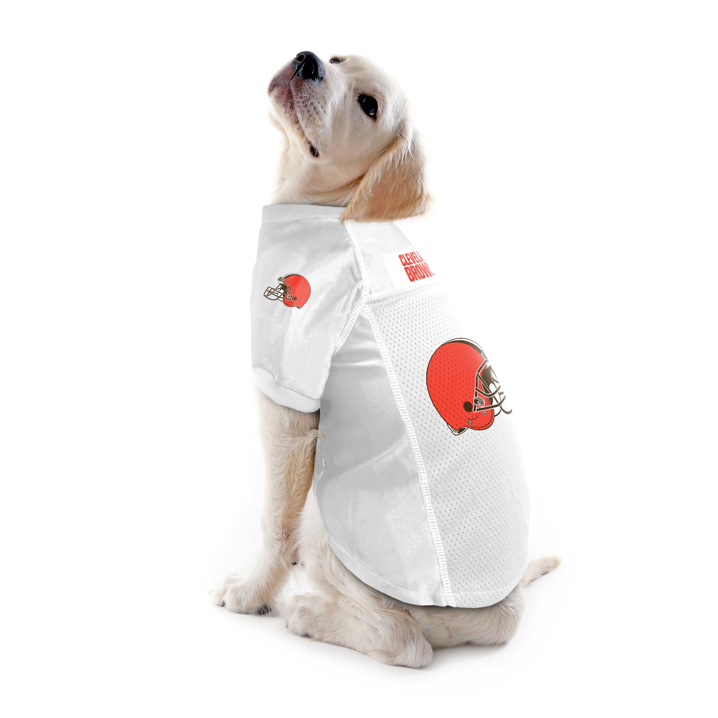 browns cat jersey