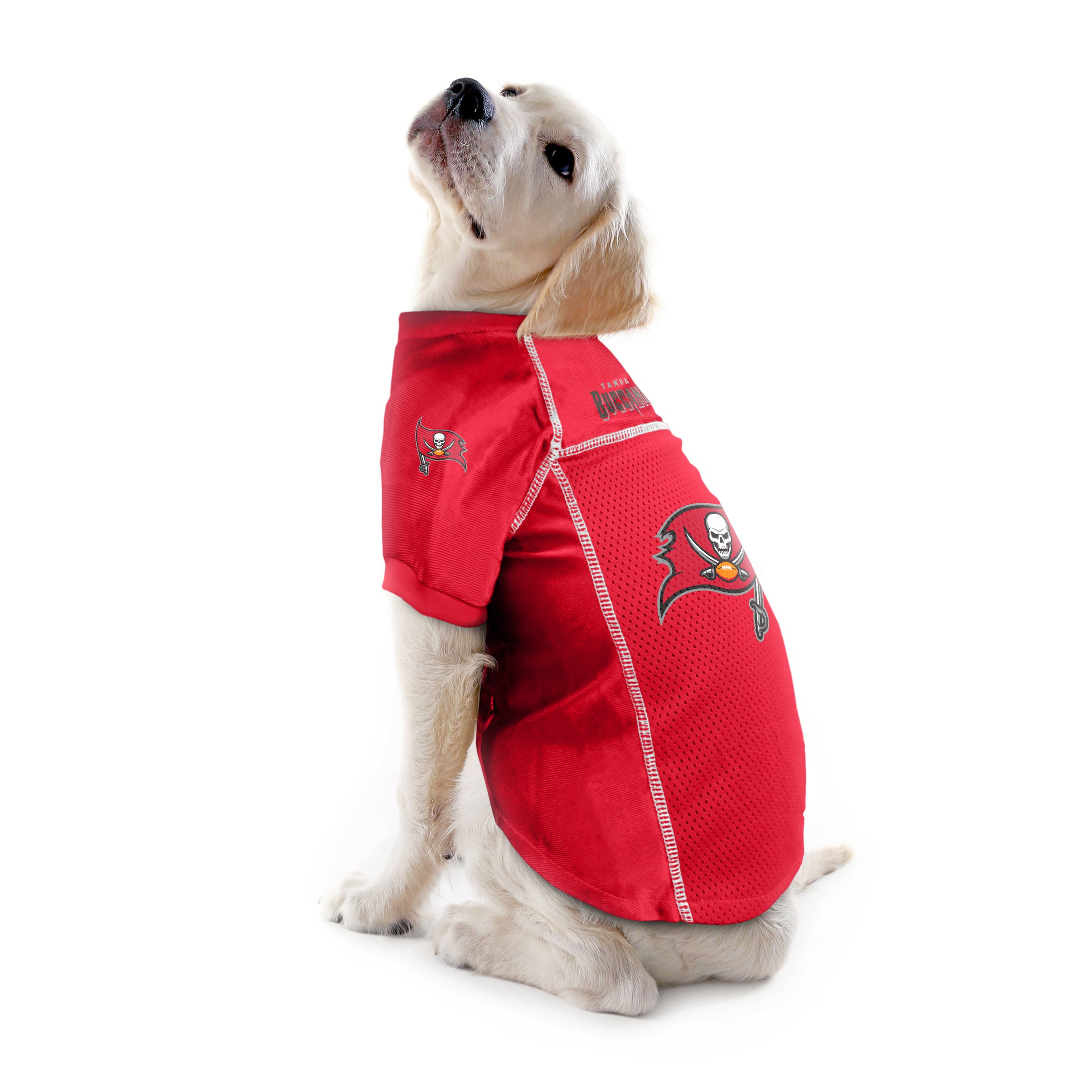 Littlearth NFL Basic Dog & Cat Jersey, Tampa Bay Buccaneers, Large