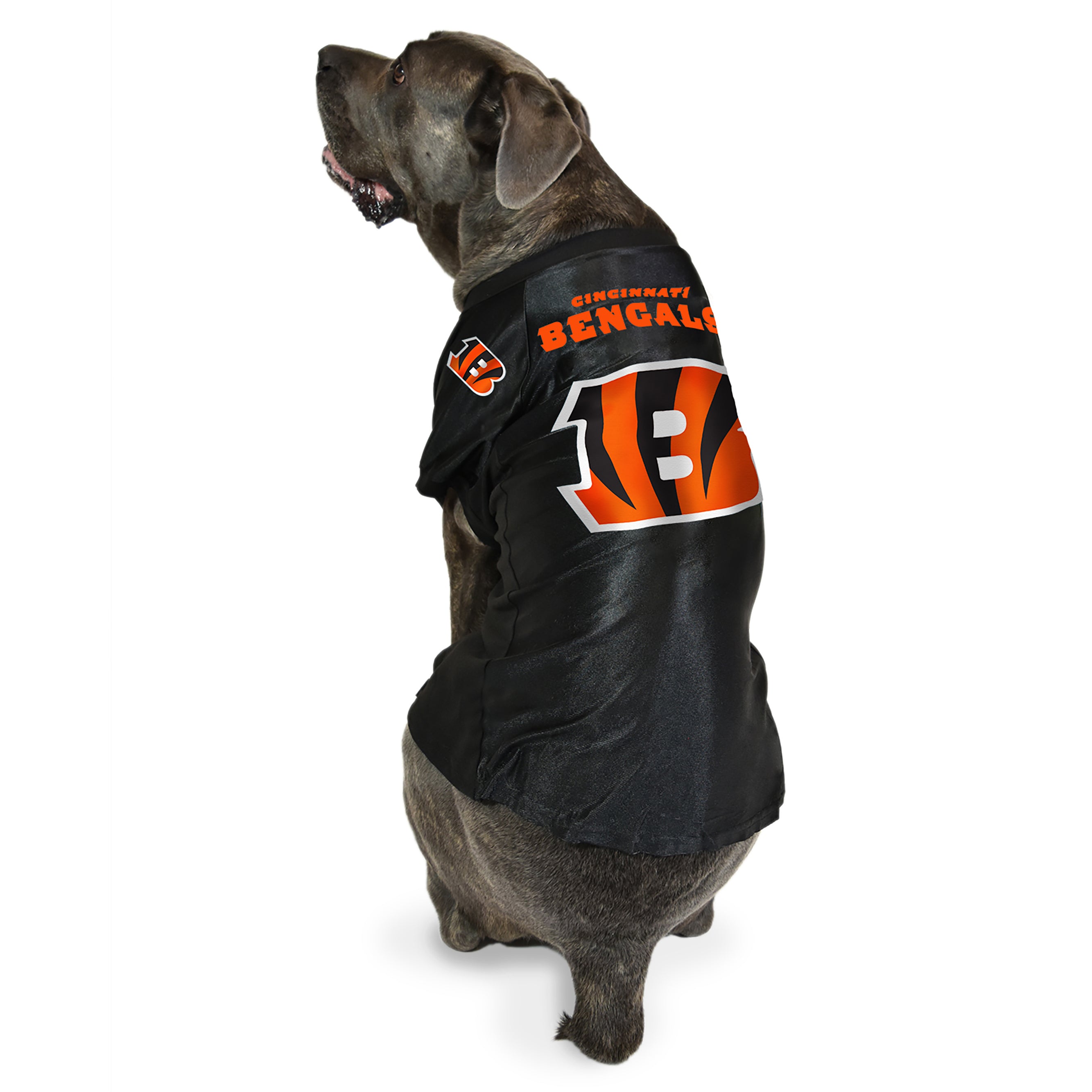 Cincinnati Bengals Big Pet Stretch Jersey – Little Earth Productions