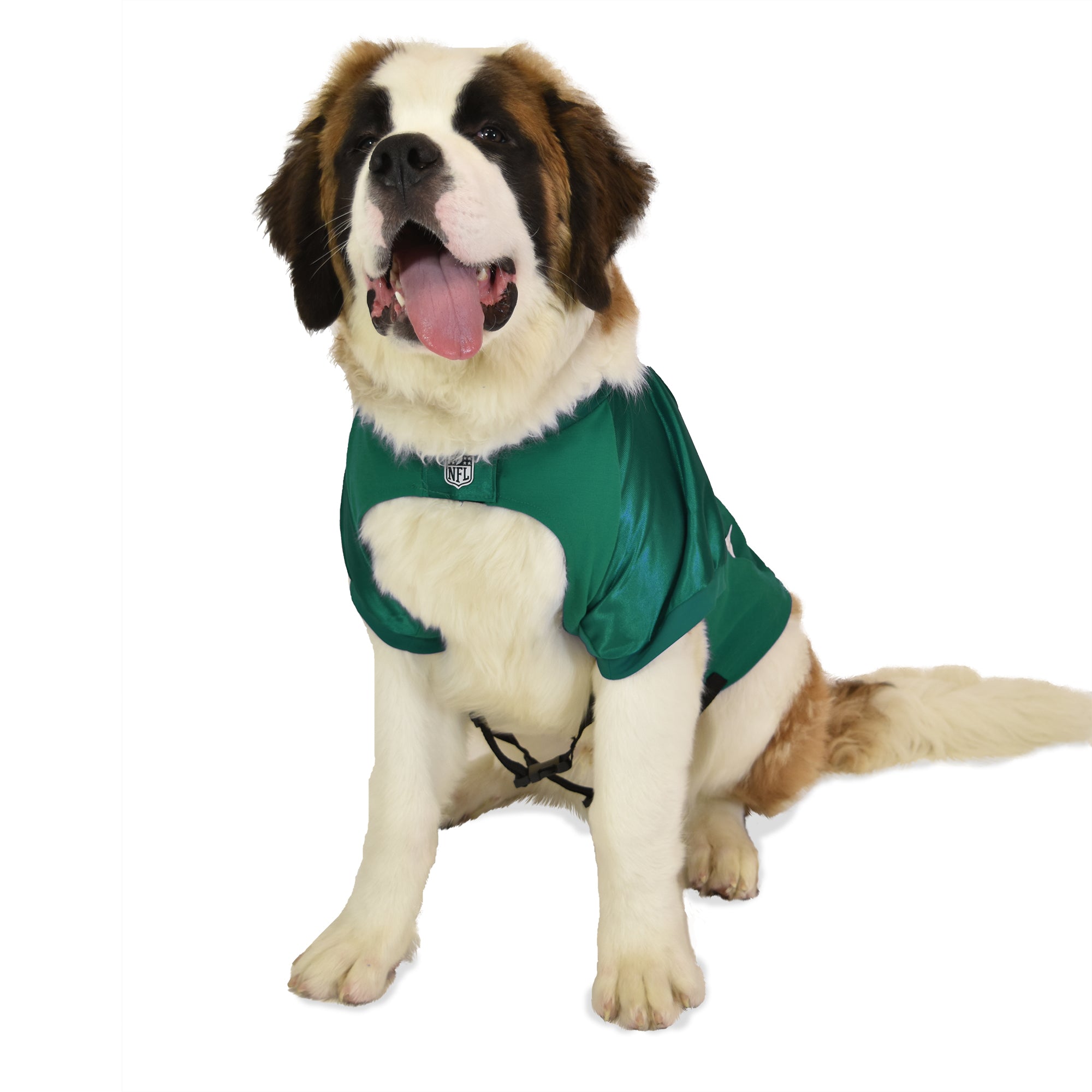 NEW YORK JETS DOG JERSEY – WHITE TRIM – The Barkery Long Island