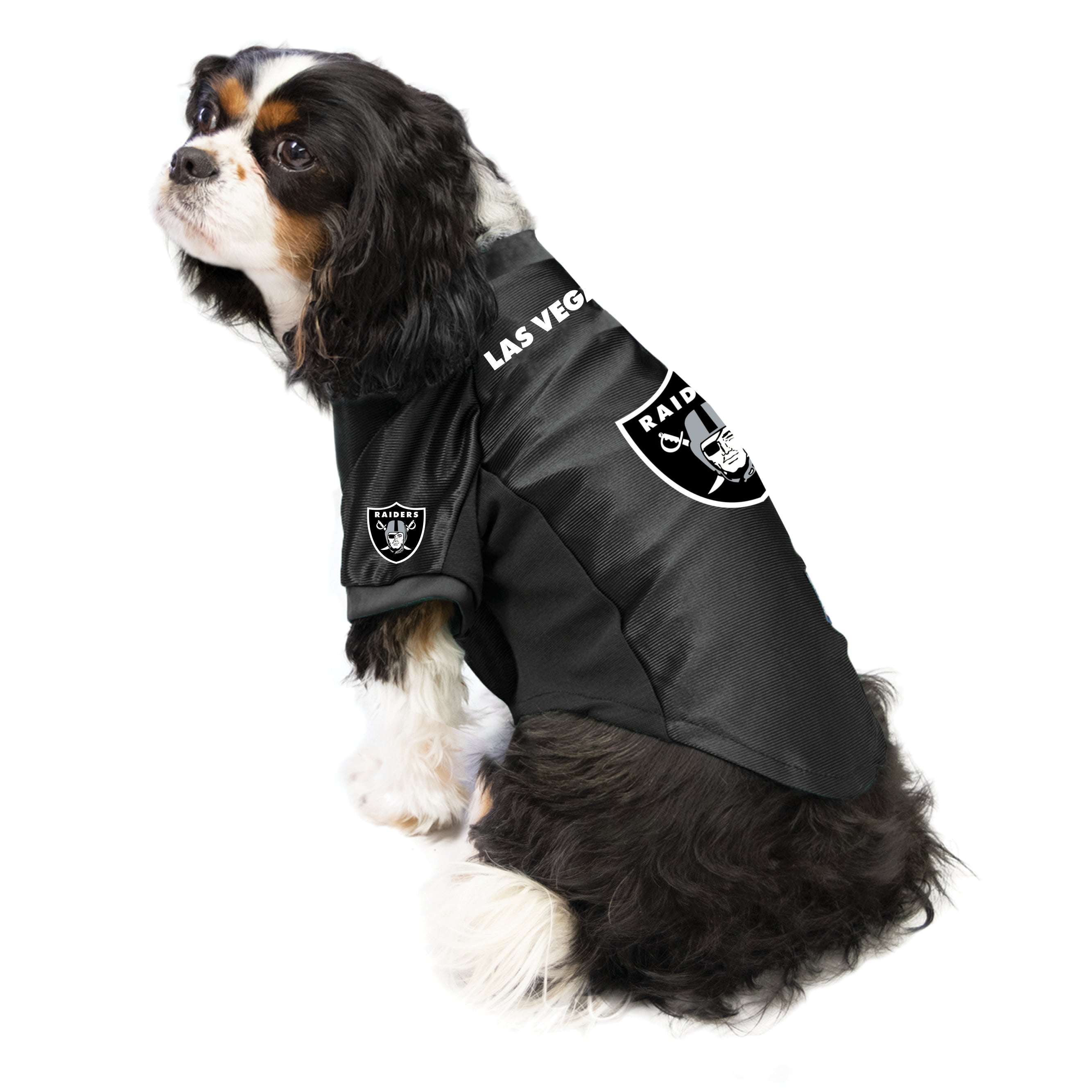 raiders dog apparel