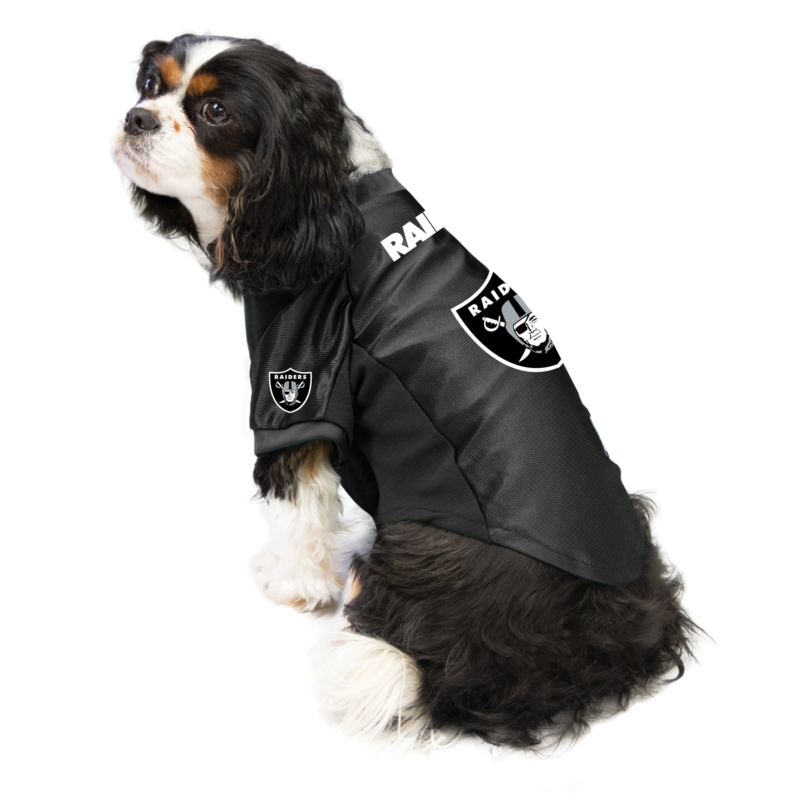 Oakland Raiders Pet Premium Jersey - XL