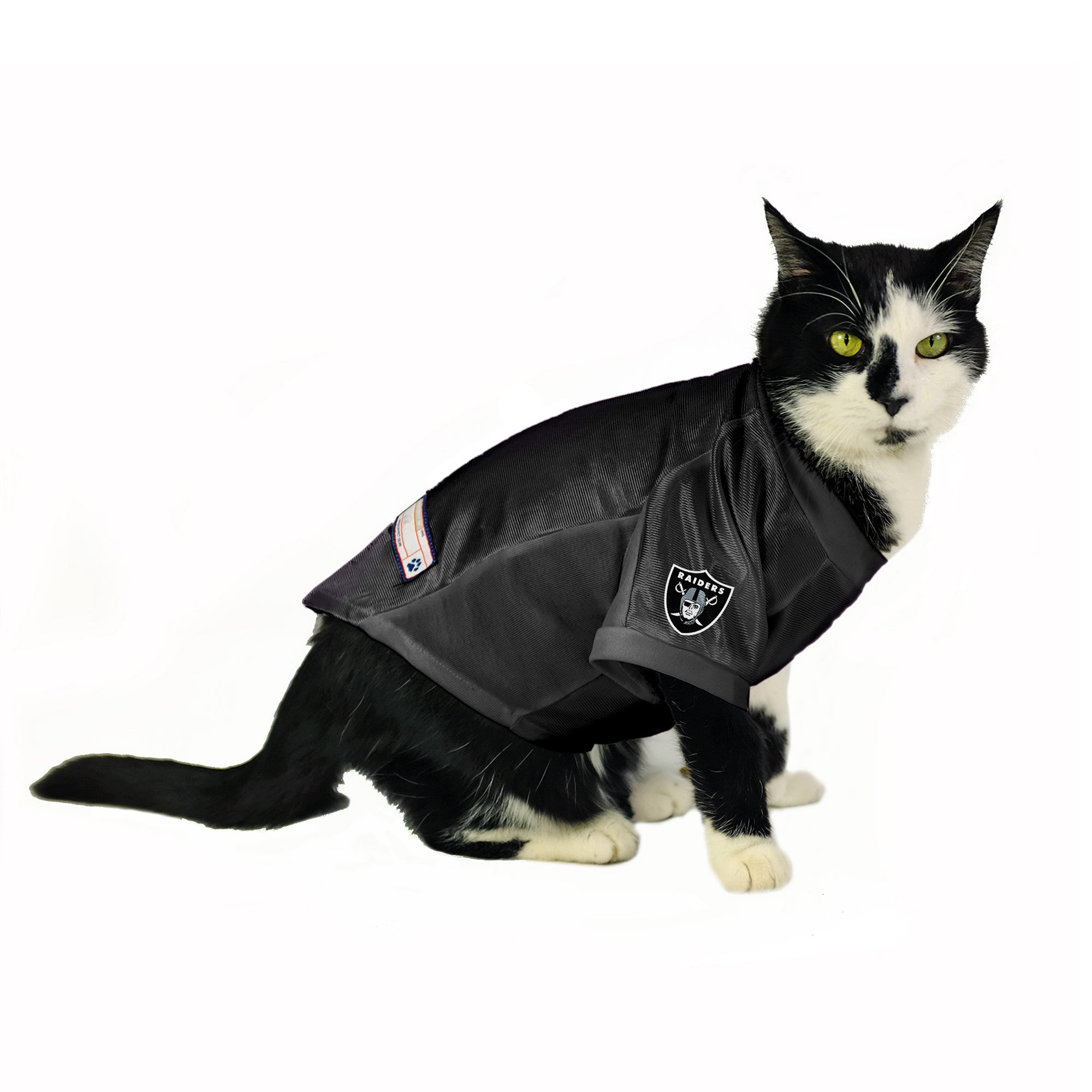 NFL Oakland Raiders Extra Small Pet Premium Jersey