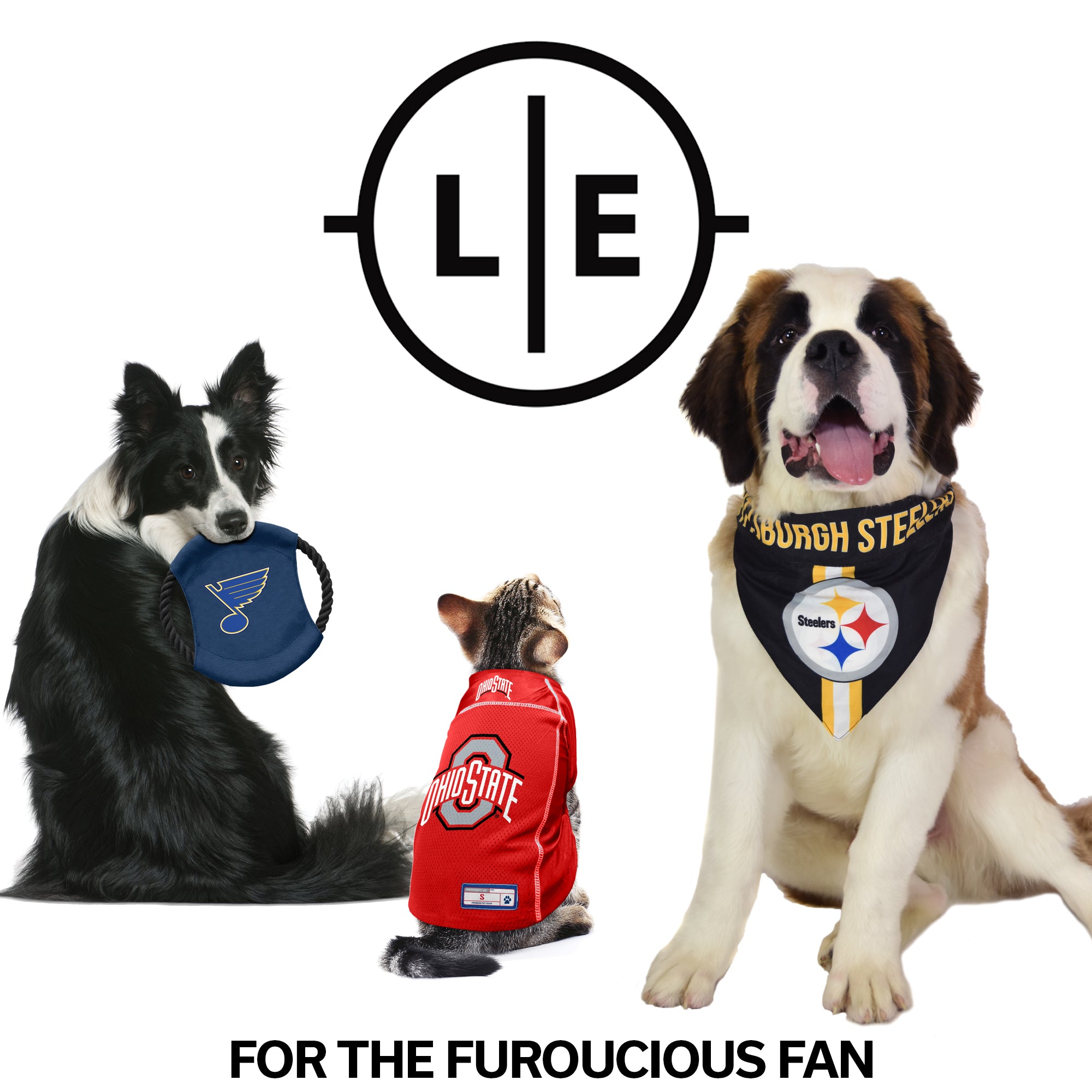 Littlearth NHL Personalized Dog Jersey ST. LOUIS BLUES Sizes XS-Big Dog