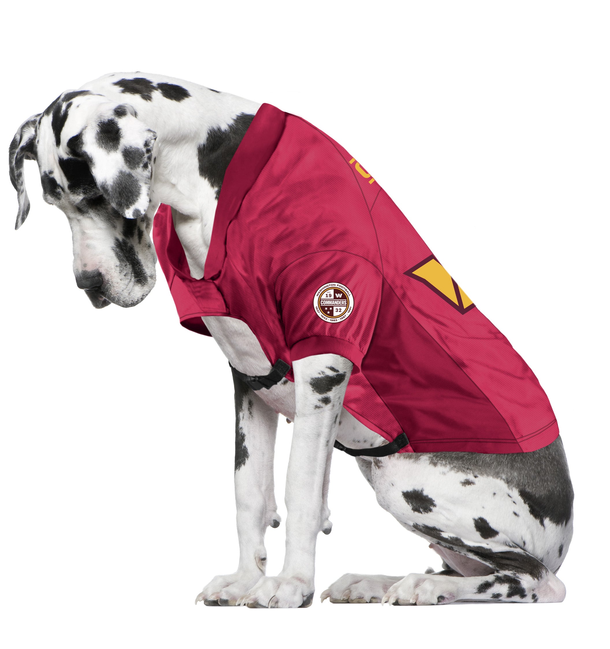 Washington Commanders Big Pet Stretch Jersey