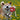 Kansas City Chiefs Team Sock Monkey Pet Toy