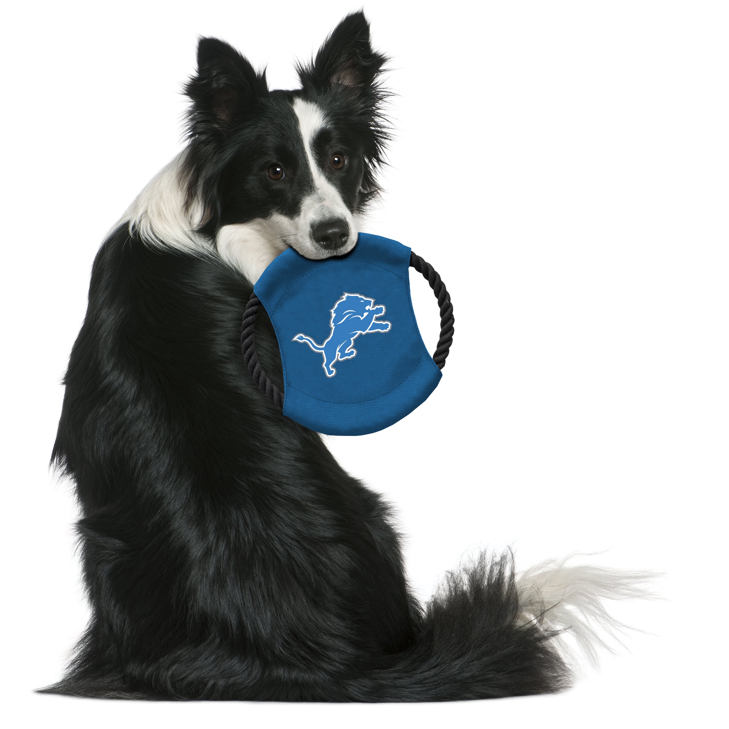 Detroit Lions sports pet supplies for dogs