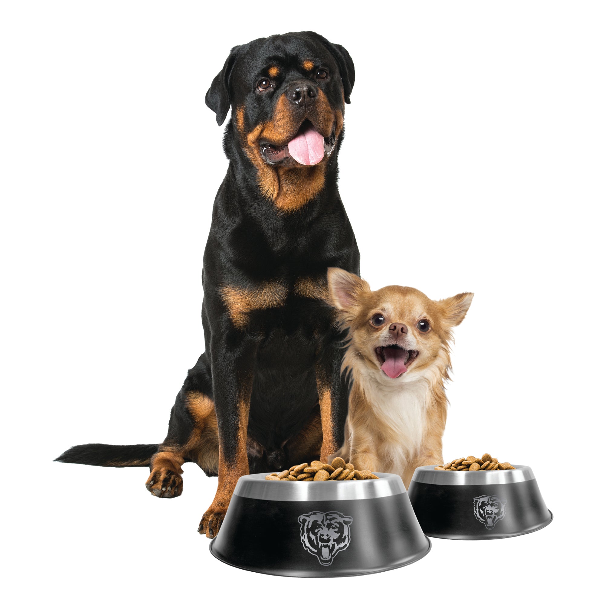 chicago bears dog bowl