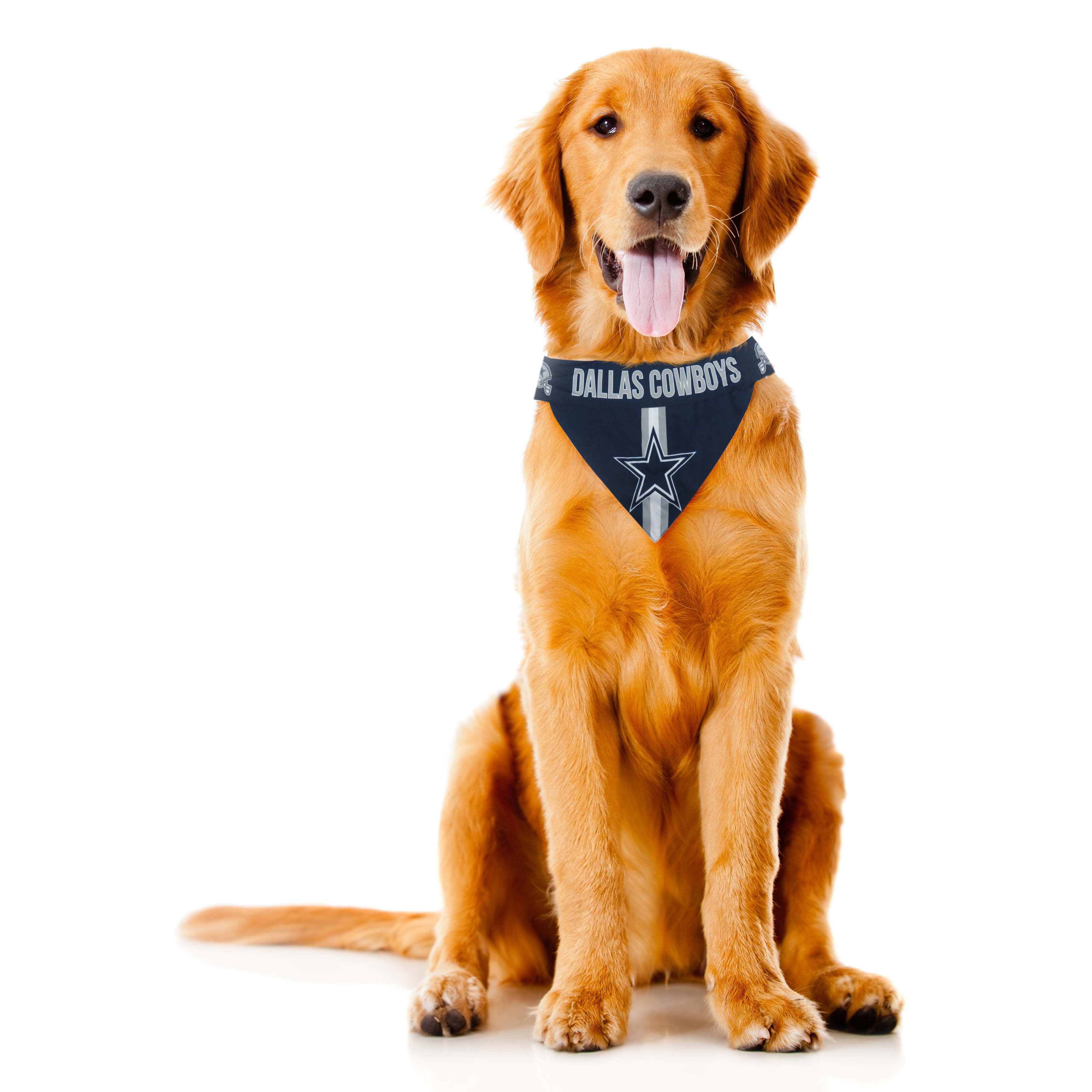 Dallas Cowboys Premium Dog Collar or Leash