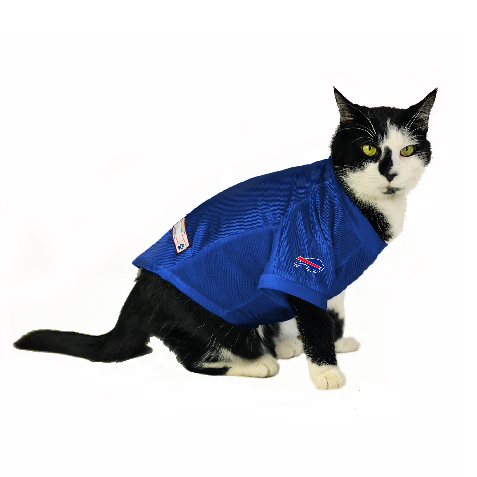 Buffalo Bills Custom Pet Stretch Jersey – Little Earth Productions