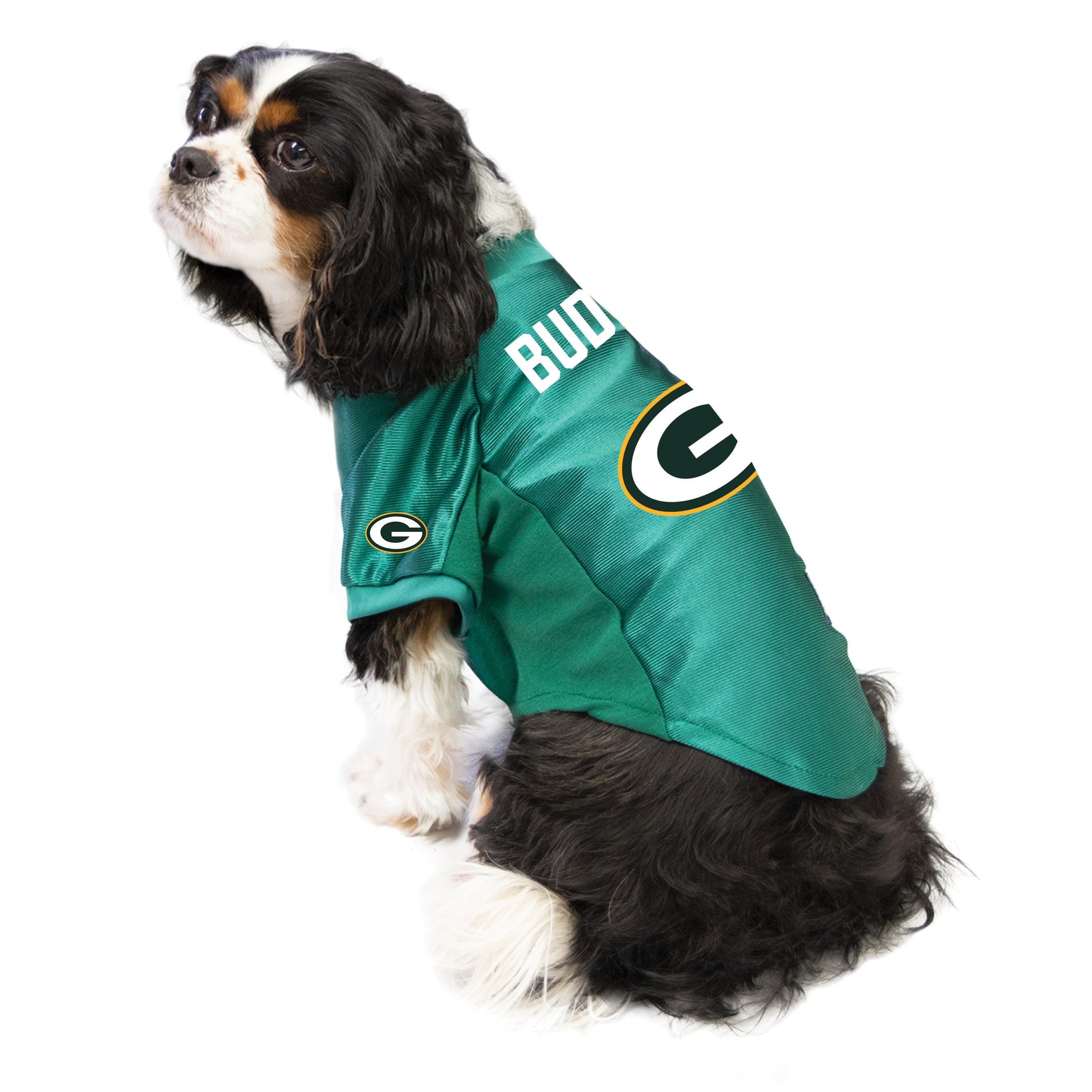 Green Bay Packers Custom Pet Stretch Jersey – Little Earth Productions