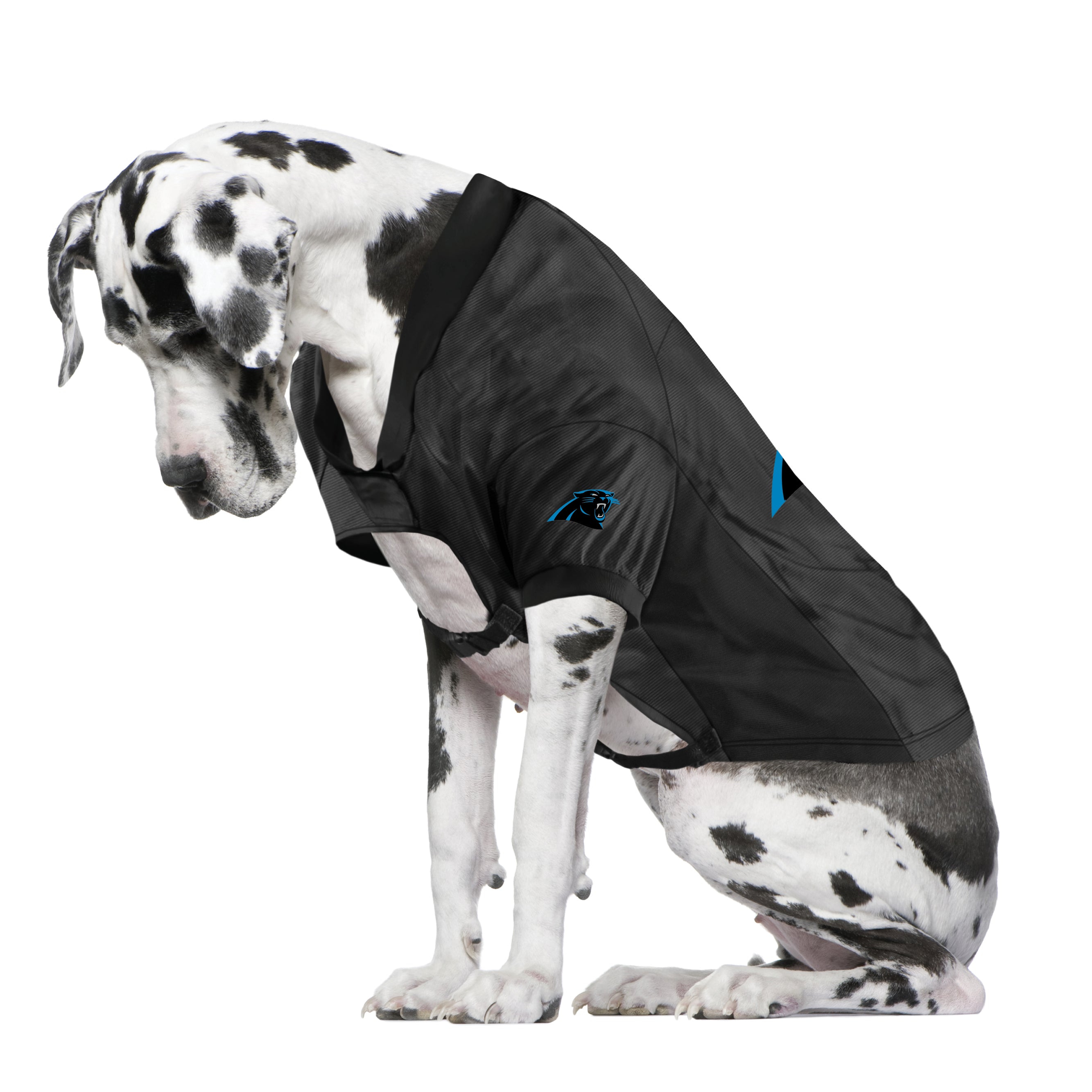 carolina panthers jersey for dogs