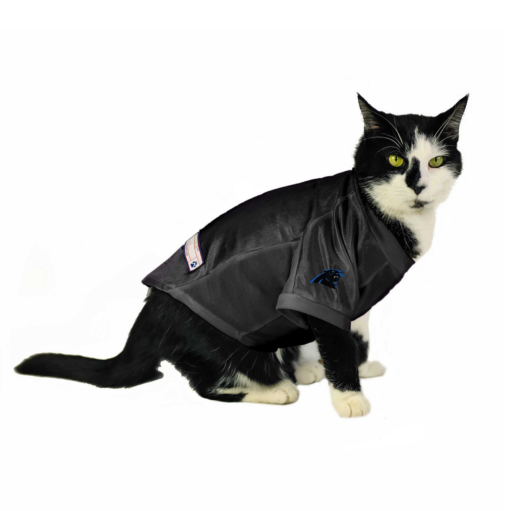 carolina panthers cat jersey