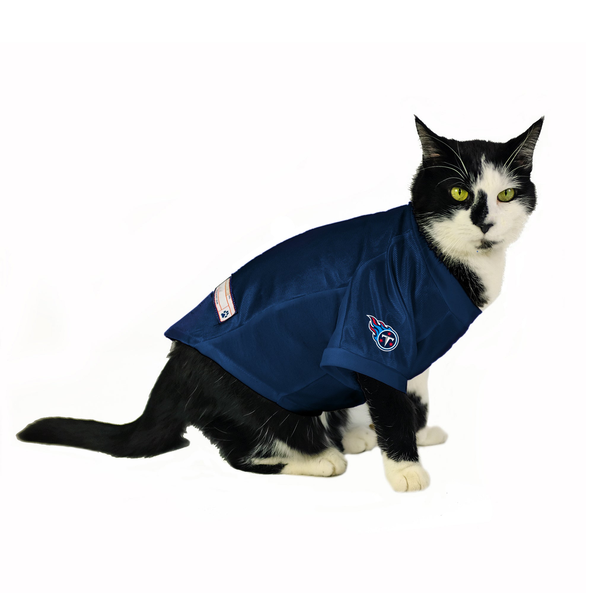 Tennessee Titans Custom Pet Stretch Jersey – Little Earth Productions
