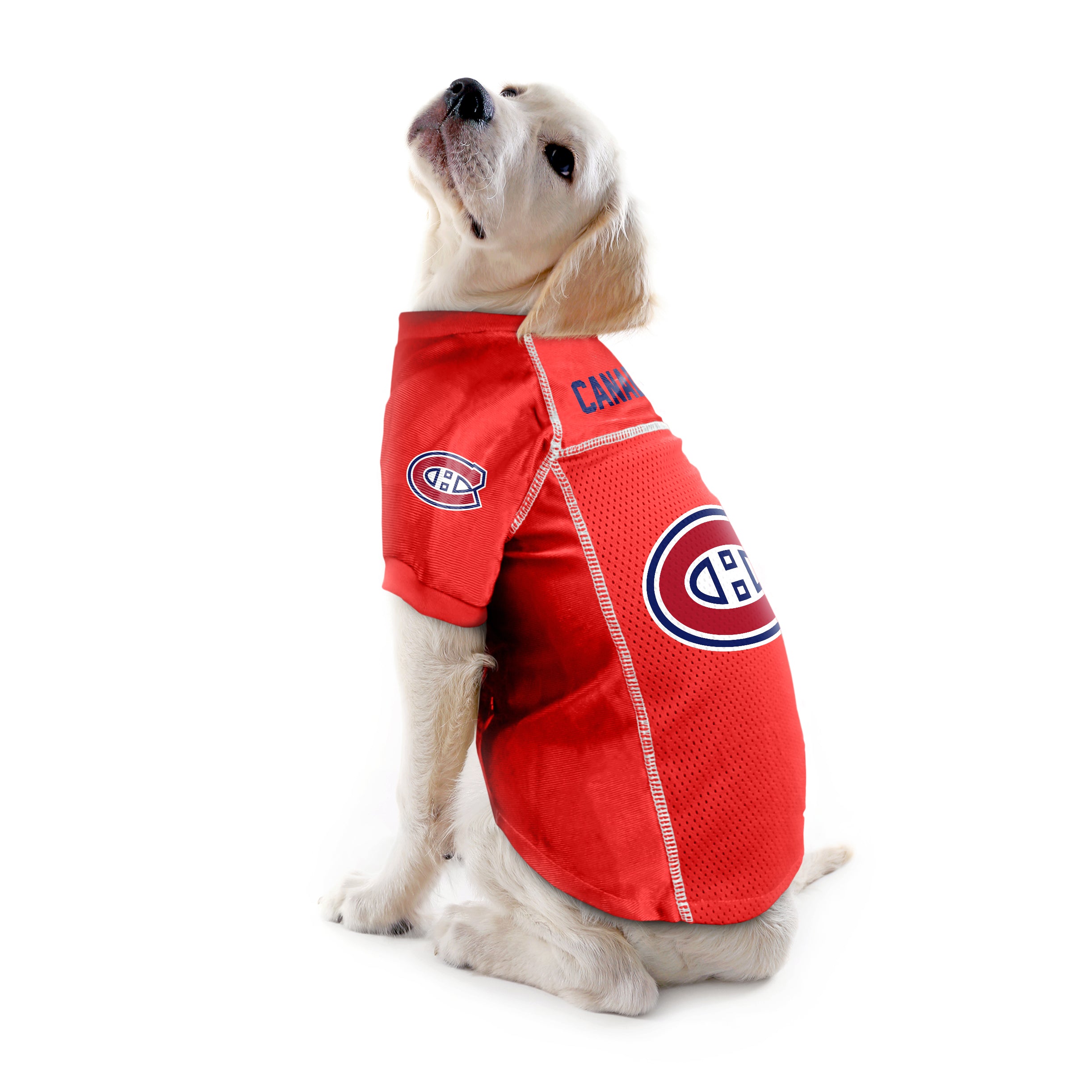 NHL Montreal Canadiens Pet Jersey, Medium : Sports Fan Jerseys  : Sports & Outdoors
