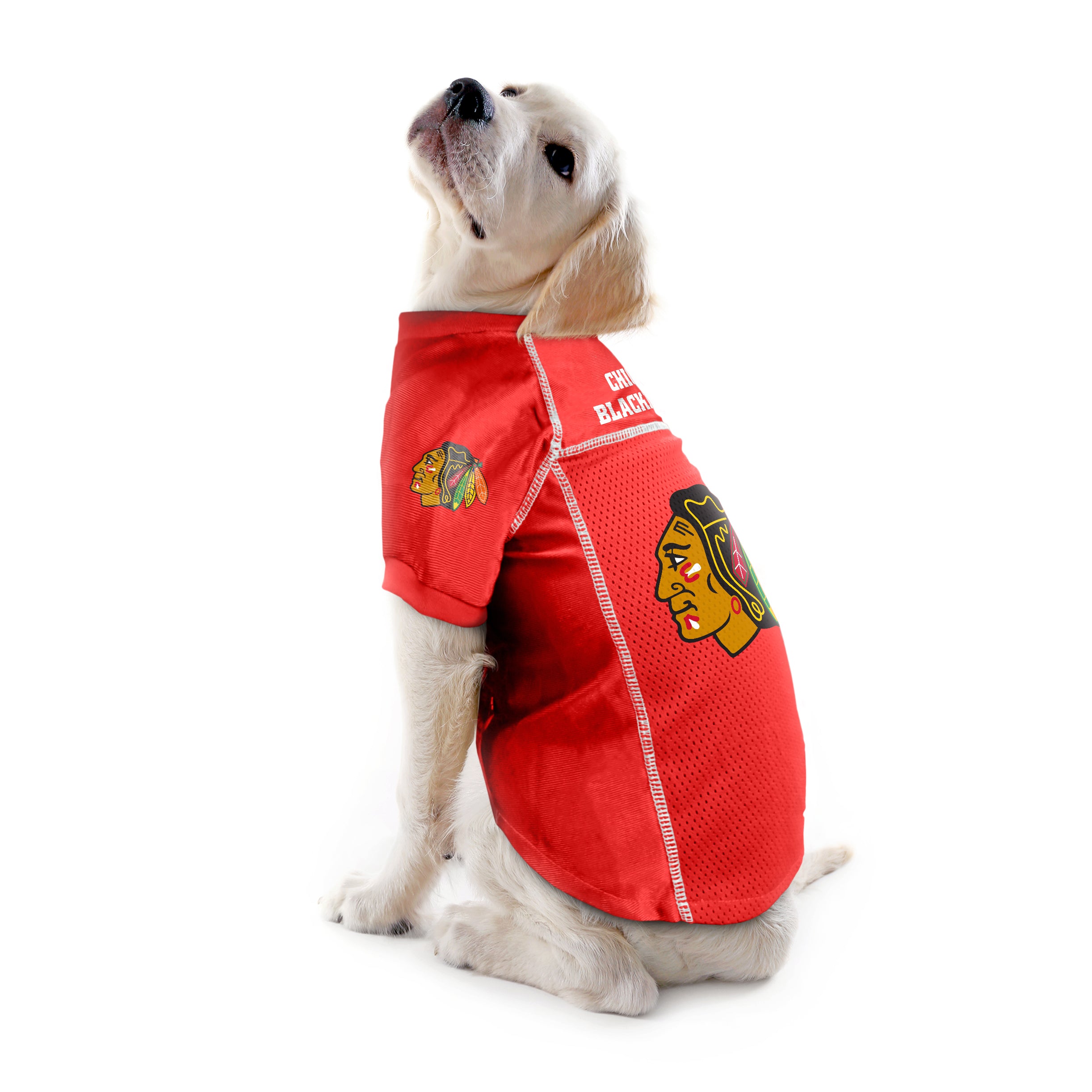 Chicago Blackhawks Jersey for Dogs from Golly Gear