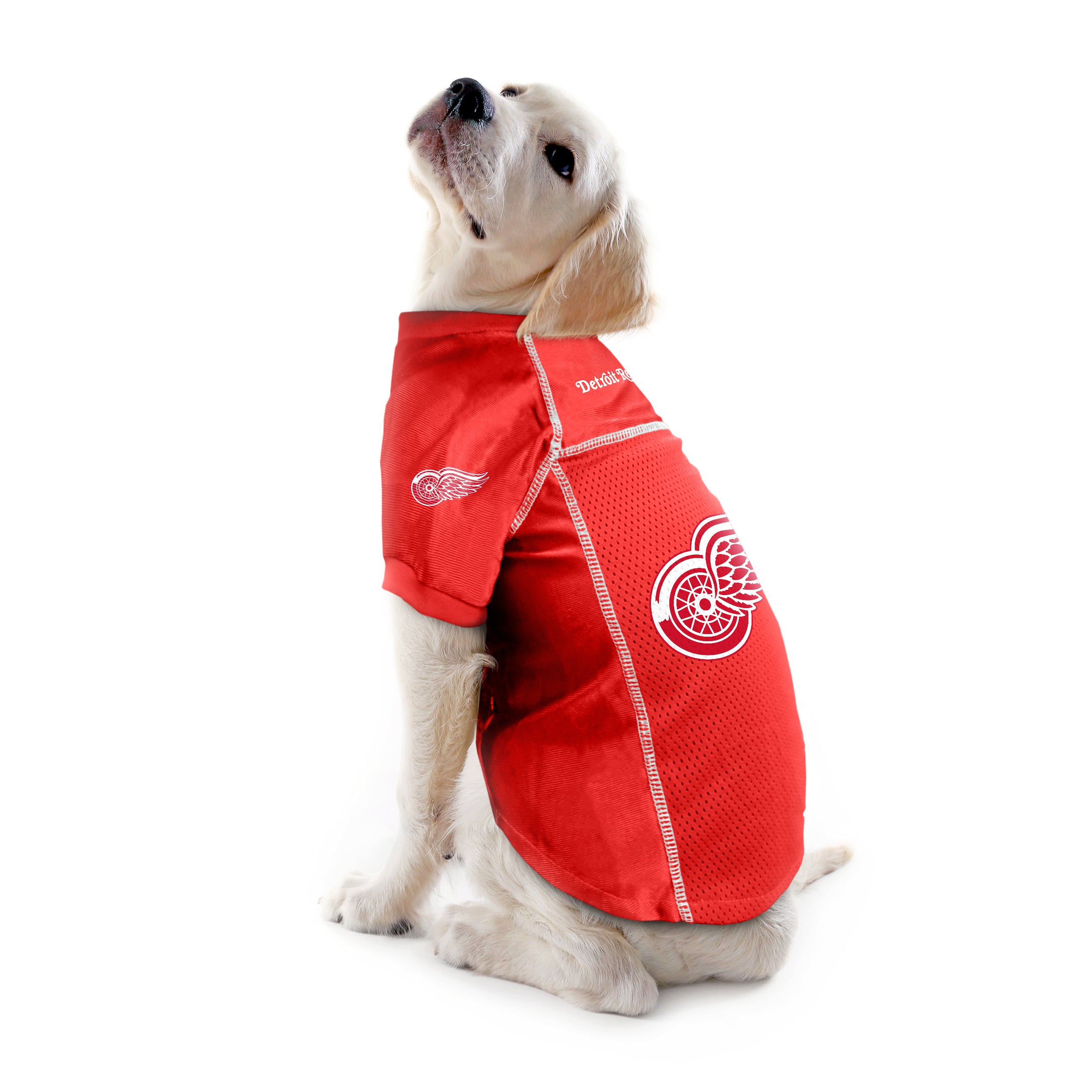  Littlearth Unisex-Adult NHL Detroit Red Wings Performance Pet  T-Shirt, Team Color, X-Small : Sports & Outdoors