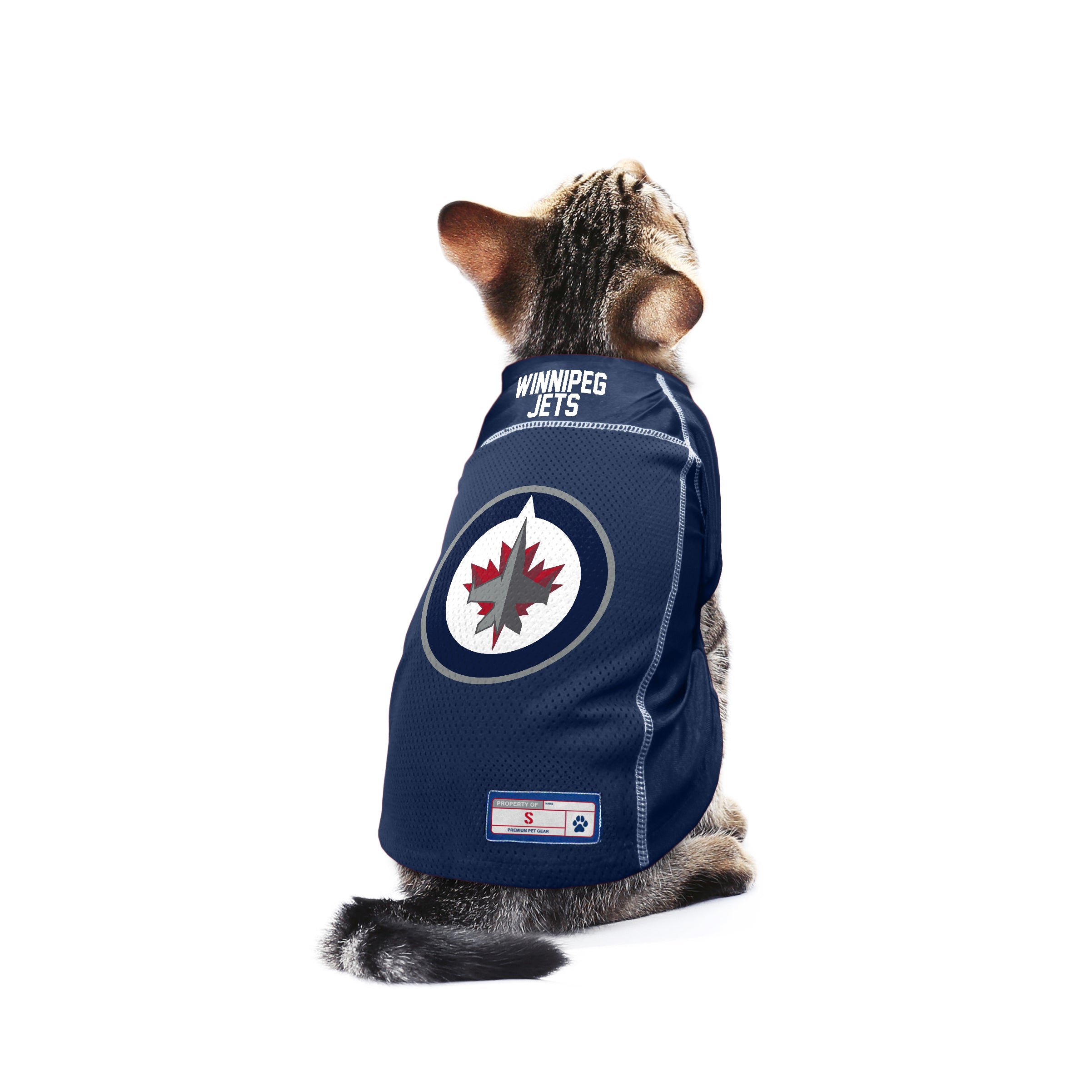 Littlearth Winnipeg Jets Dog Cat Mesh Jersey Bandana L/XL