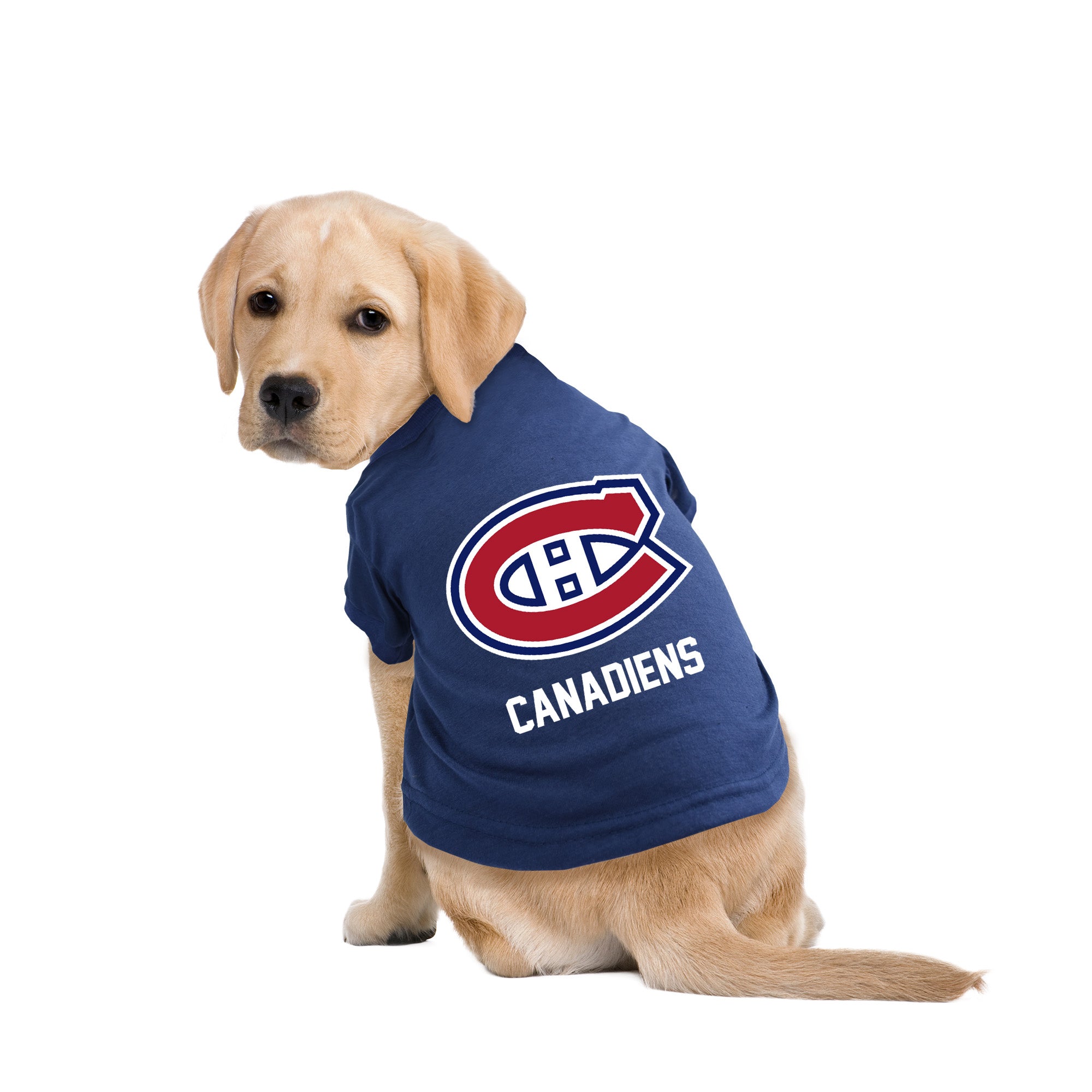 Montreal Canadiens Nhl Dog Bandanas Montreal Canadiens Dog Bandana