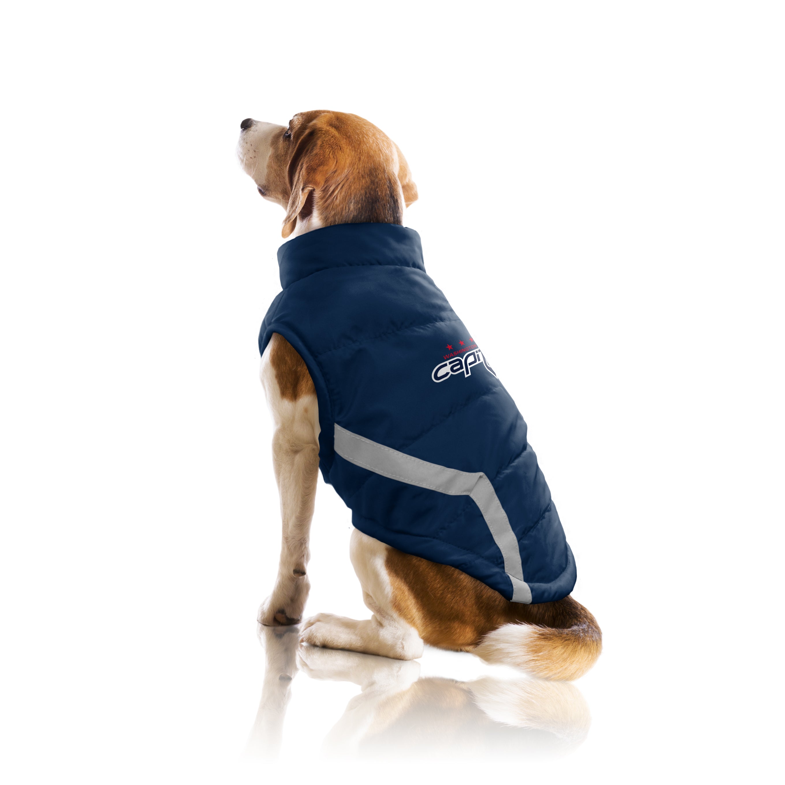 Pets First MLB New York Yankees Puffer Vest for Dogs & Cats, Size Medium.  Warm, Cozy, and Waterproof Dog Coat, for Small and Large Dogs/Cats. Best  MLB
