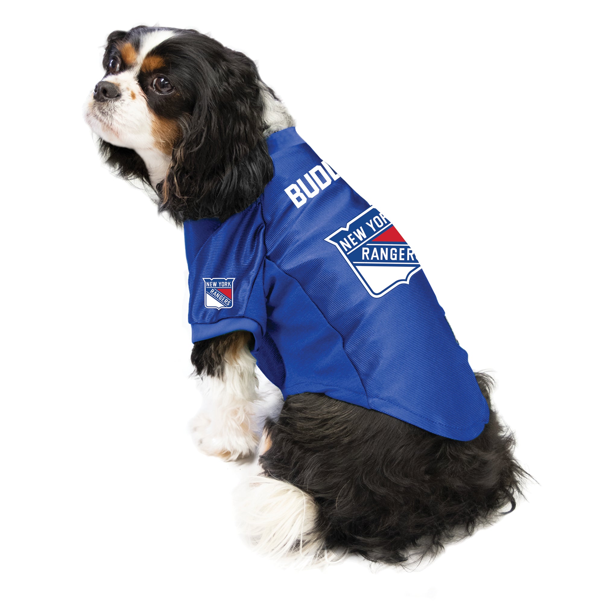 Littlearth Winnipeg Jets Dog Pet Mesh Jersey Bandana Le